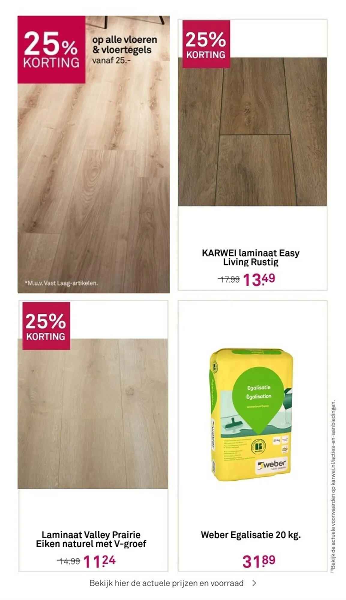 Karwei folder van 26 februari tot 3 maart 2024 - Folder pagina 45