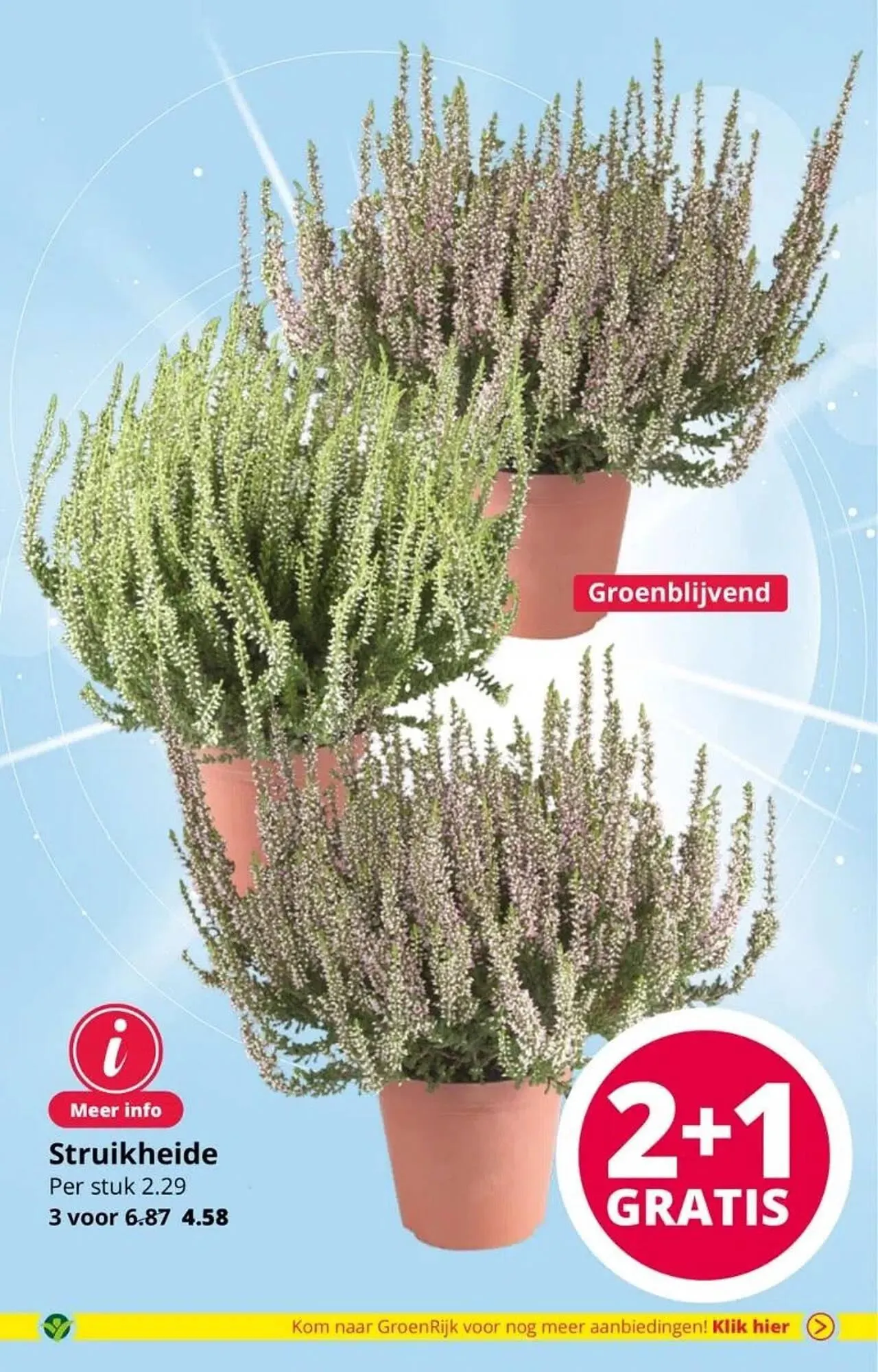 GroenRijk folder van 6 augustus tot 15 augustus 2023 - Folder pagina 14