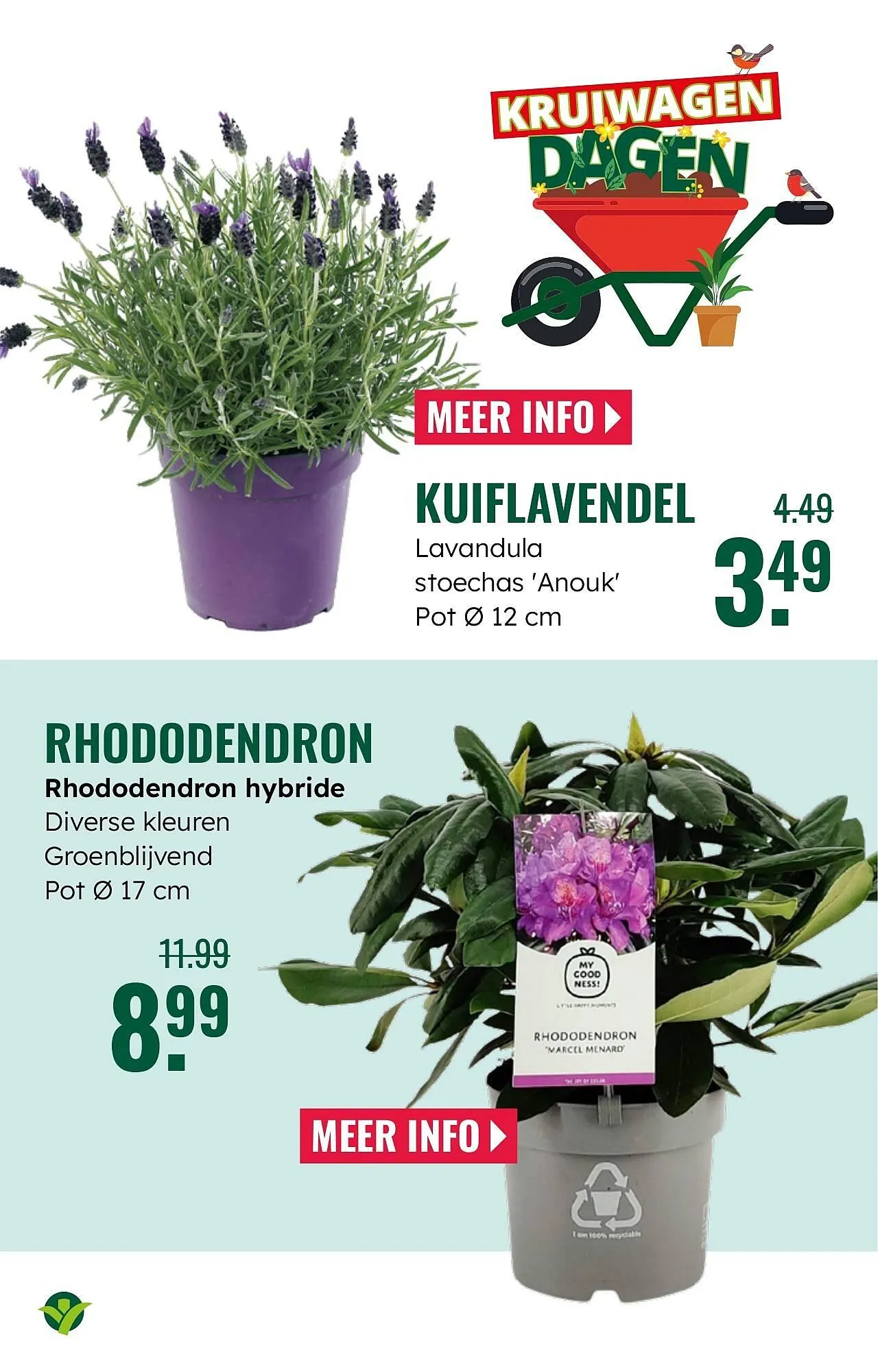 GroenRijk folder van 5 maart tot 18 maart 2025 - Folder pagina 5