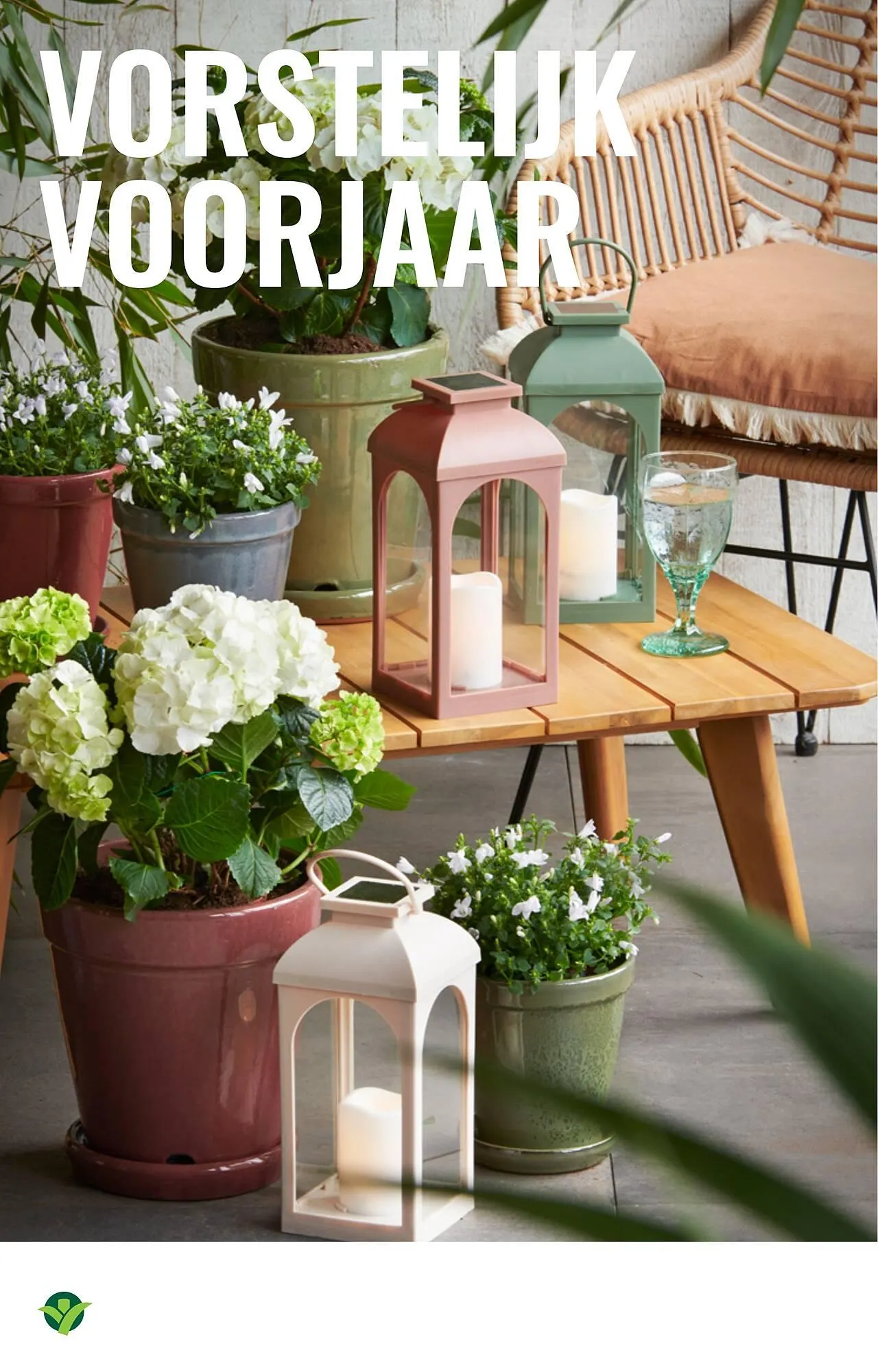 GroenRijk folder van 23 april tot 29 april 2026 - Folder pagina 12