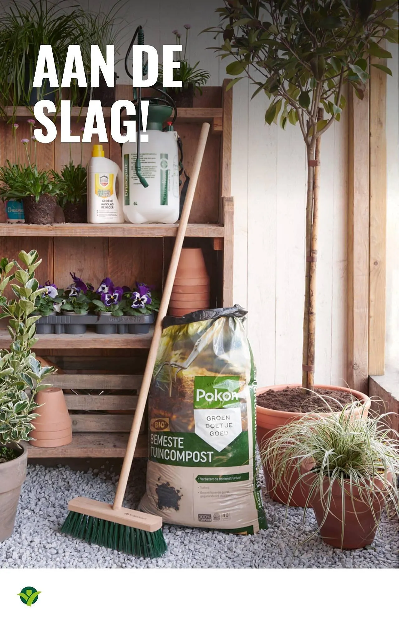 GroenRijk folder van 26 maart tot 1 april 2025 - Folder pagina 14