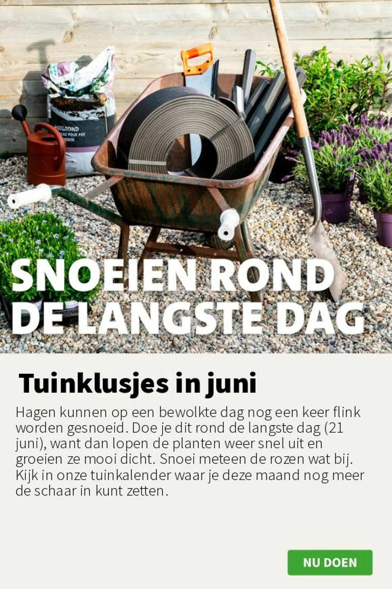 Intratuin van 16 juni tot 22 juni 2025 - Folder pagina 5