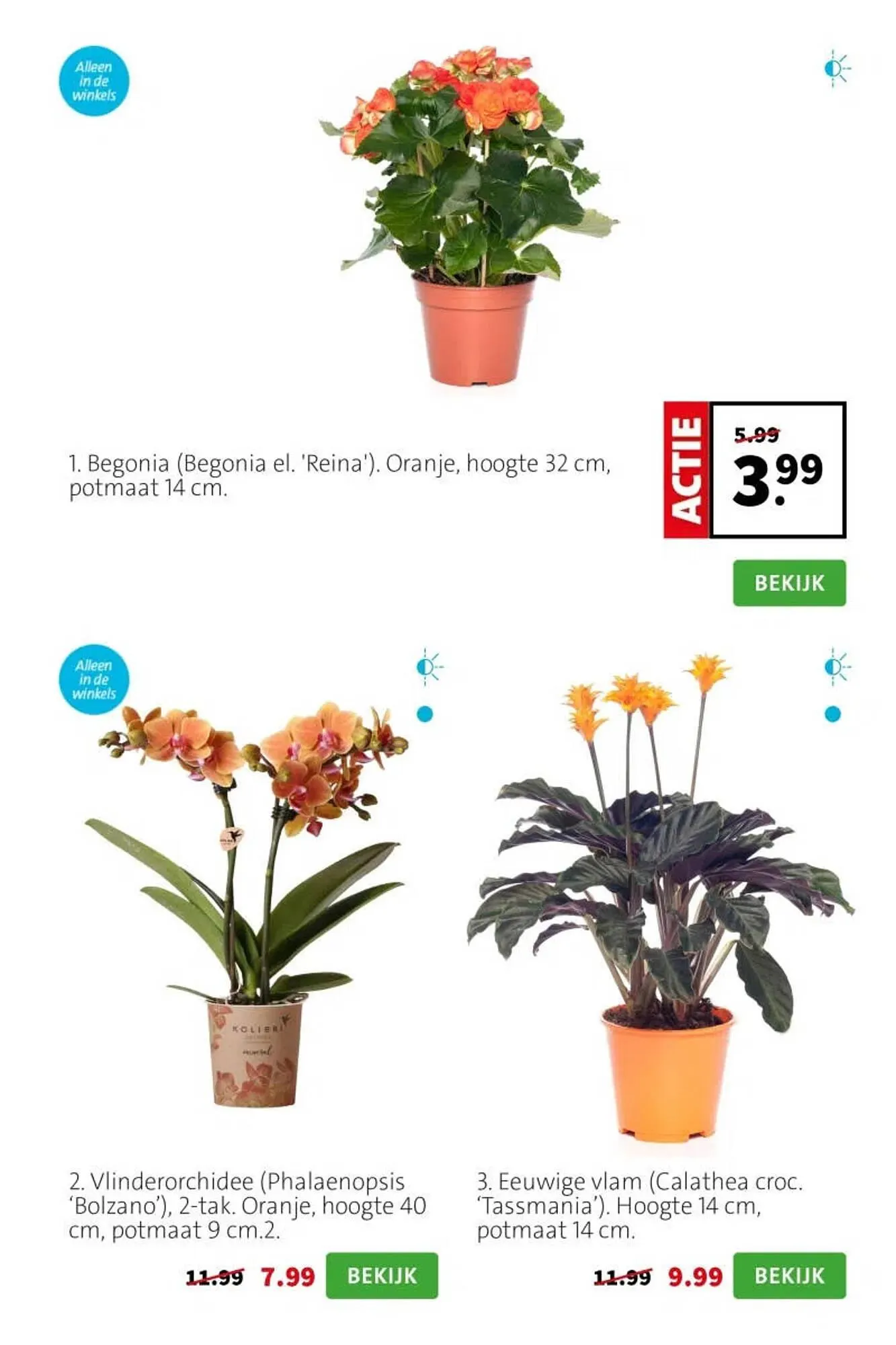 Intratuin folder van 20 april tot 26 april 2026 - Folder pagina 3