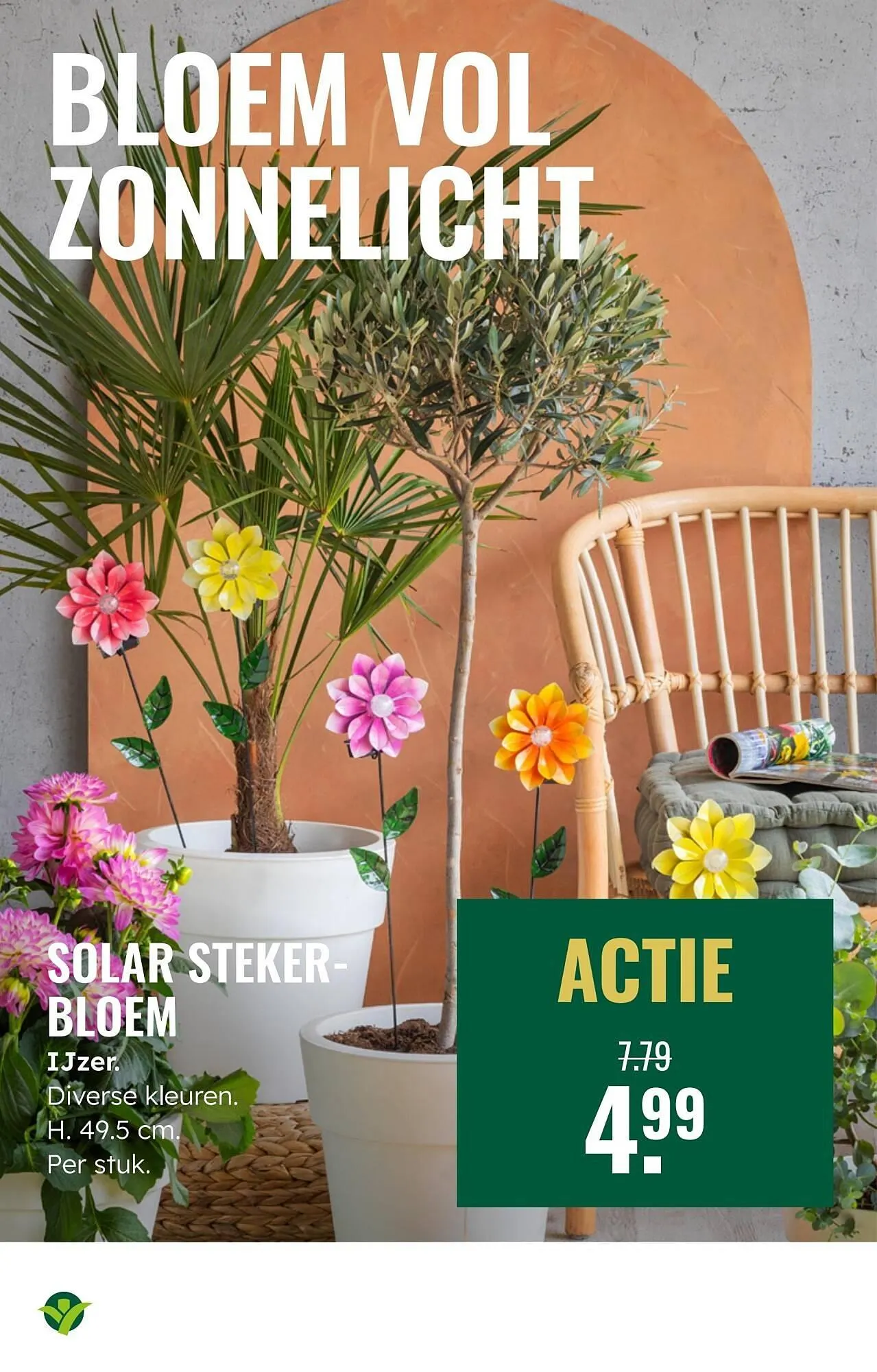 GroenRijk folder van 2 juli tot 8 juli 2025 - Folder pagina 13