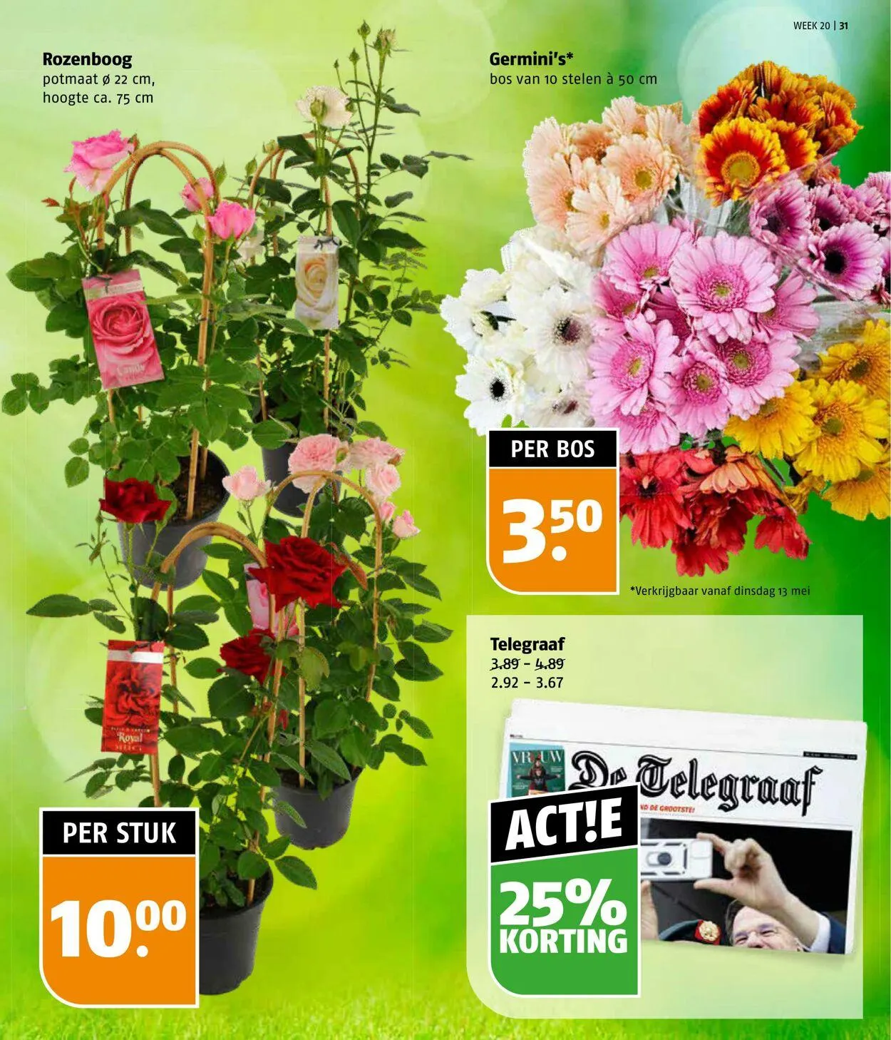 Poiesz Actuele folder van 12 mei tot 18 mei 2025 - Folder pagina 31