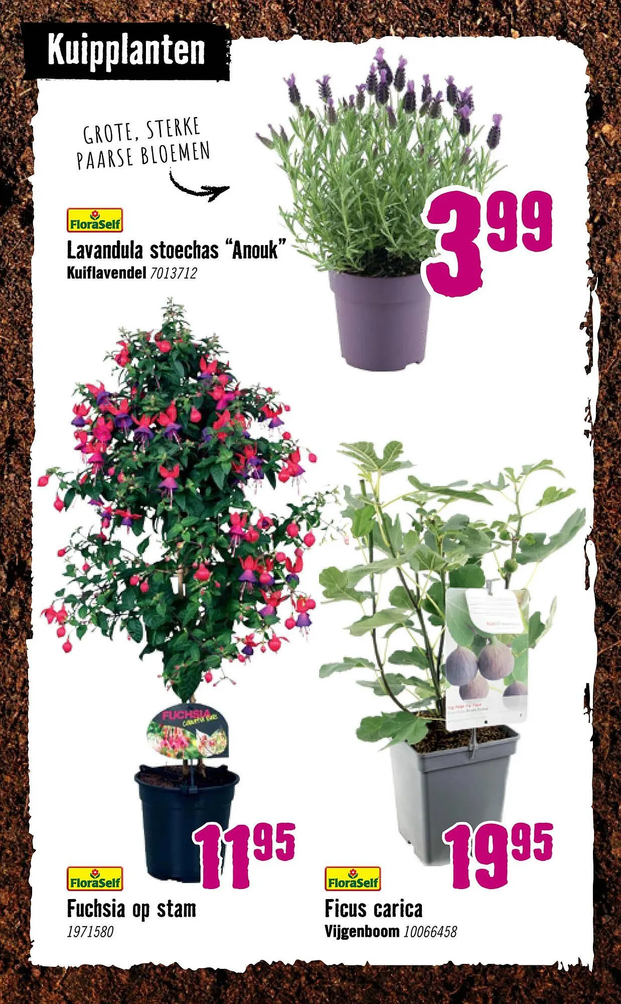 Hornbach folder van 6 april tot 3 mei 2026 - Folder pagina 22