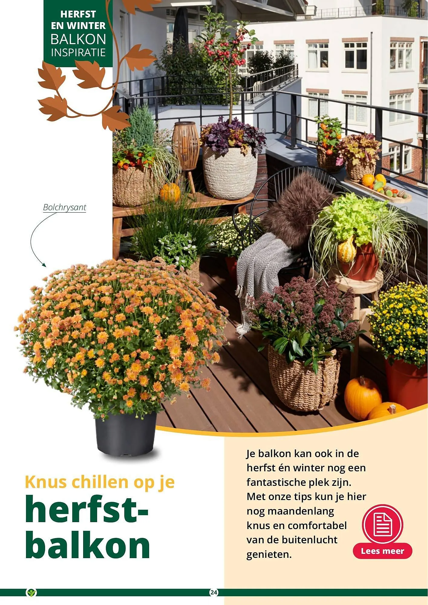 GroenRijk folder van 17 september tot 31 december 2023 - Folder pagina 24