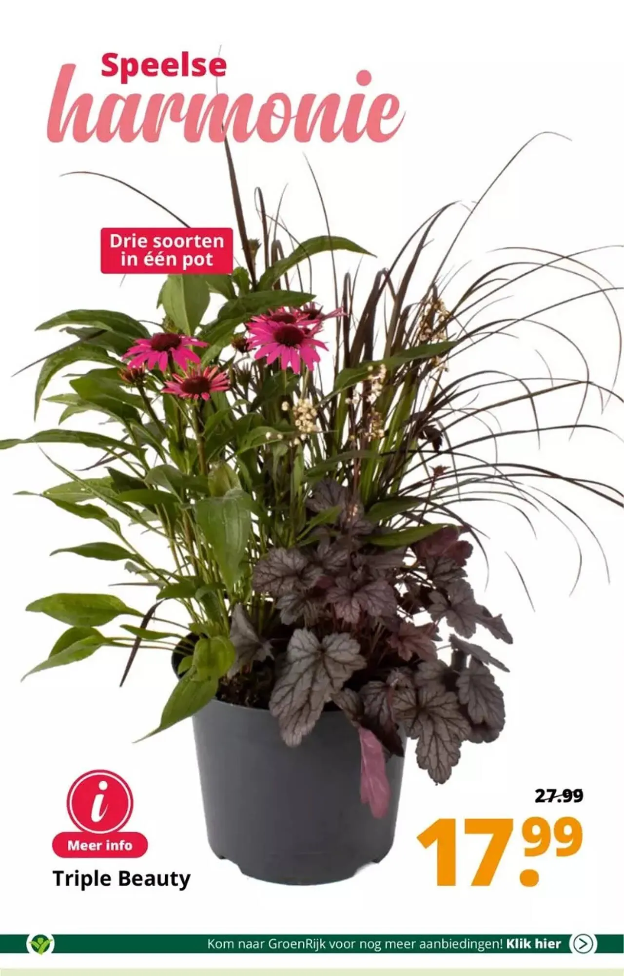 GroenRijk folder van 30 augustus tot 5 september 2023 - Folder pagina 11