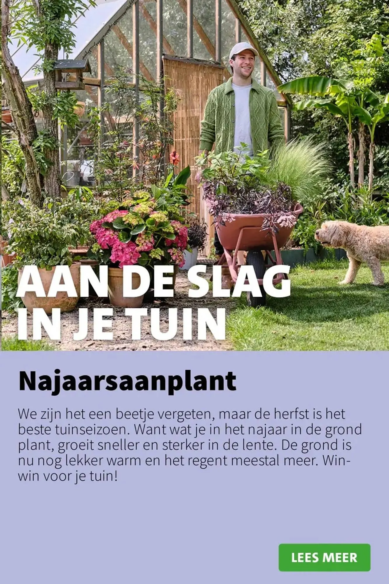 Intratuin folder van 1 september tot 7 september 2025 - Folder pagina 4