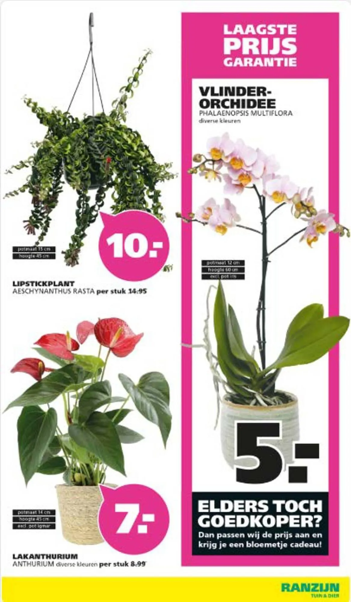 Ranzijn folder van 13 oktober tot 1 november 2025 - Folder pagina 12