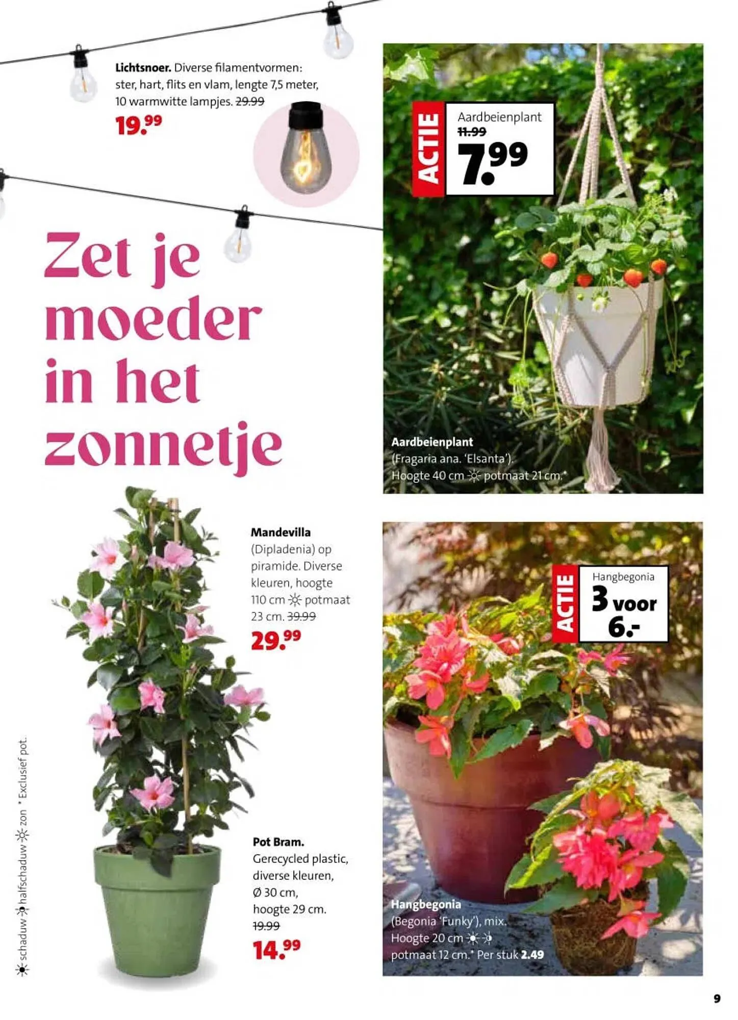 Intratuin folder van 4 mei tot 10 mei 2026 - Folder pagina 9