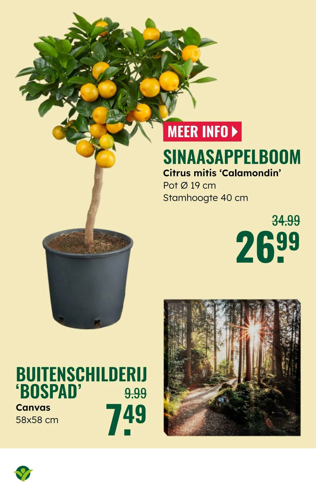 GroenRijk Actuele folder van 2 september tot 16 september 2025 - Folder pagina 11