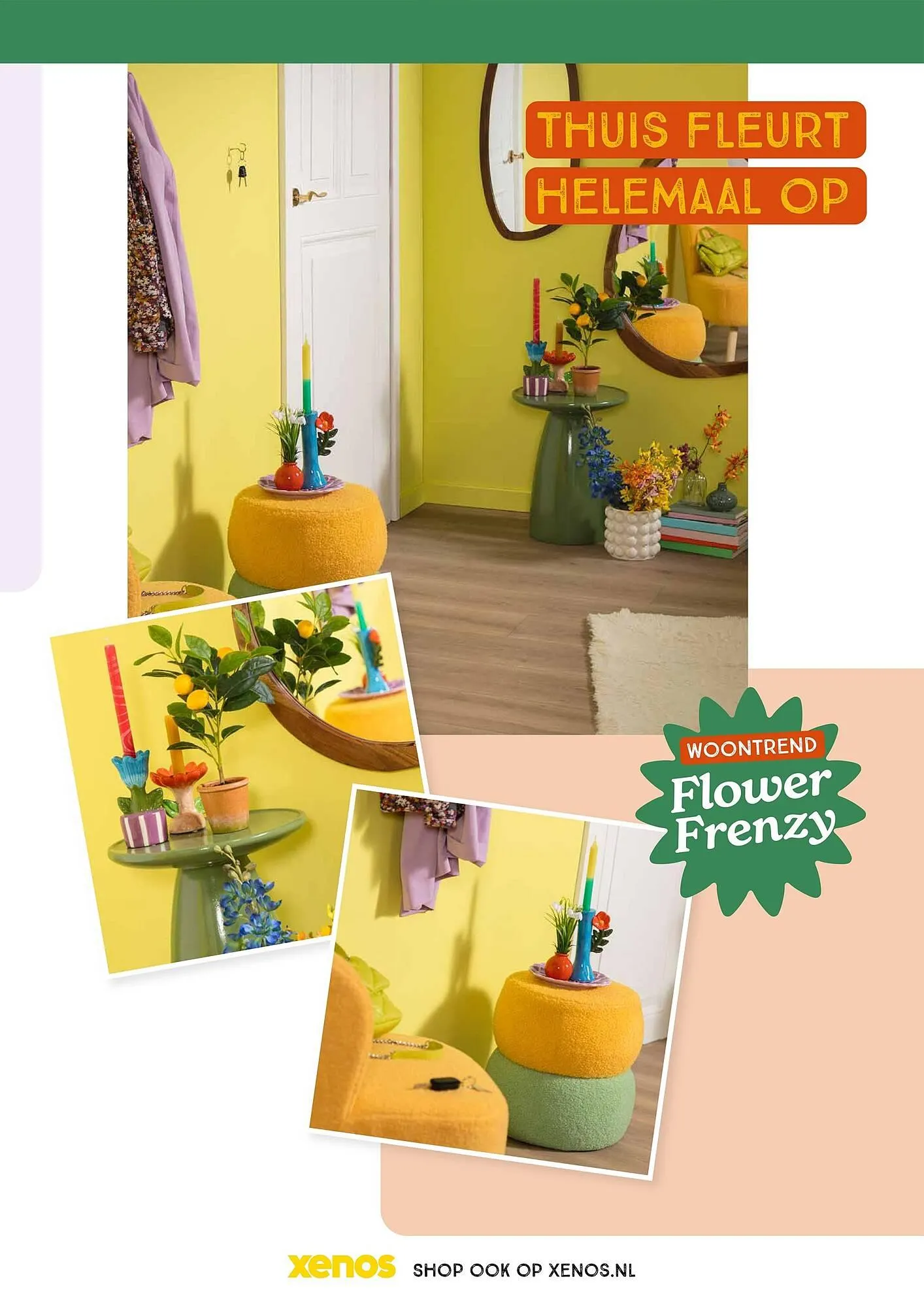 Xenos folder van 26 januari tot 29 maart 2025 - Folder pagina 41