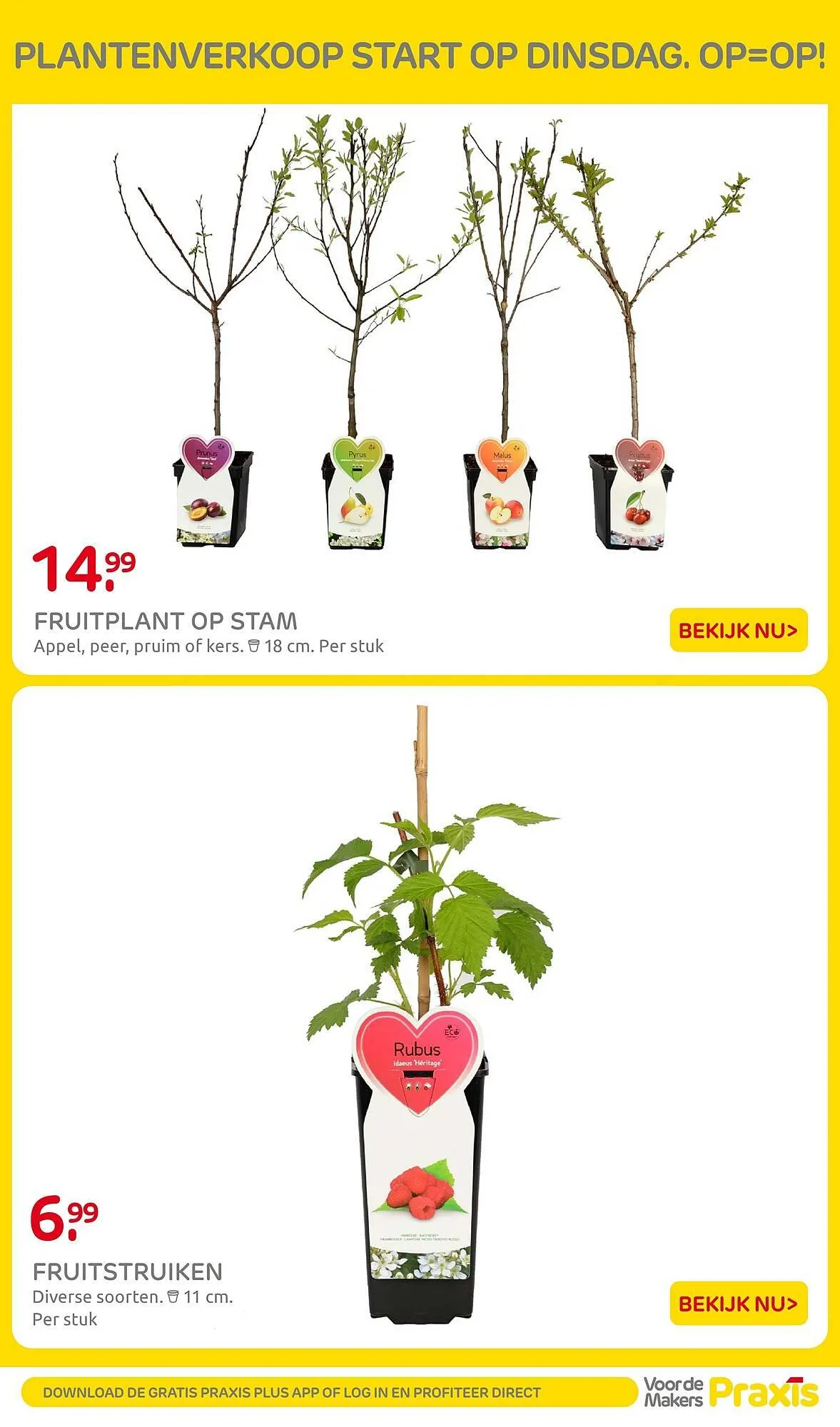 Praxis folder van 16 februari tot 22 februari 2026 - Folder pagina 49