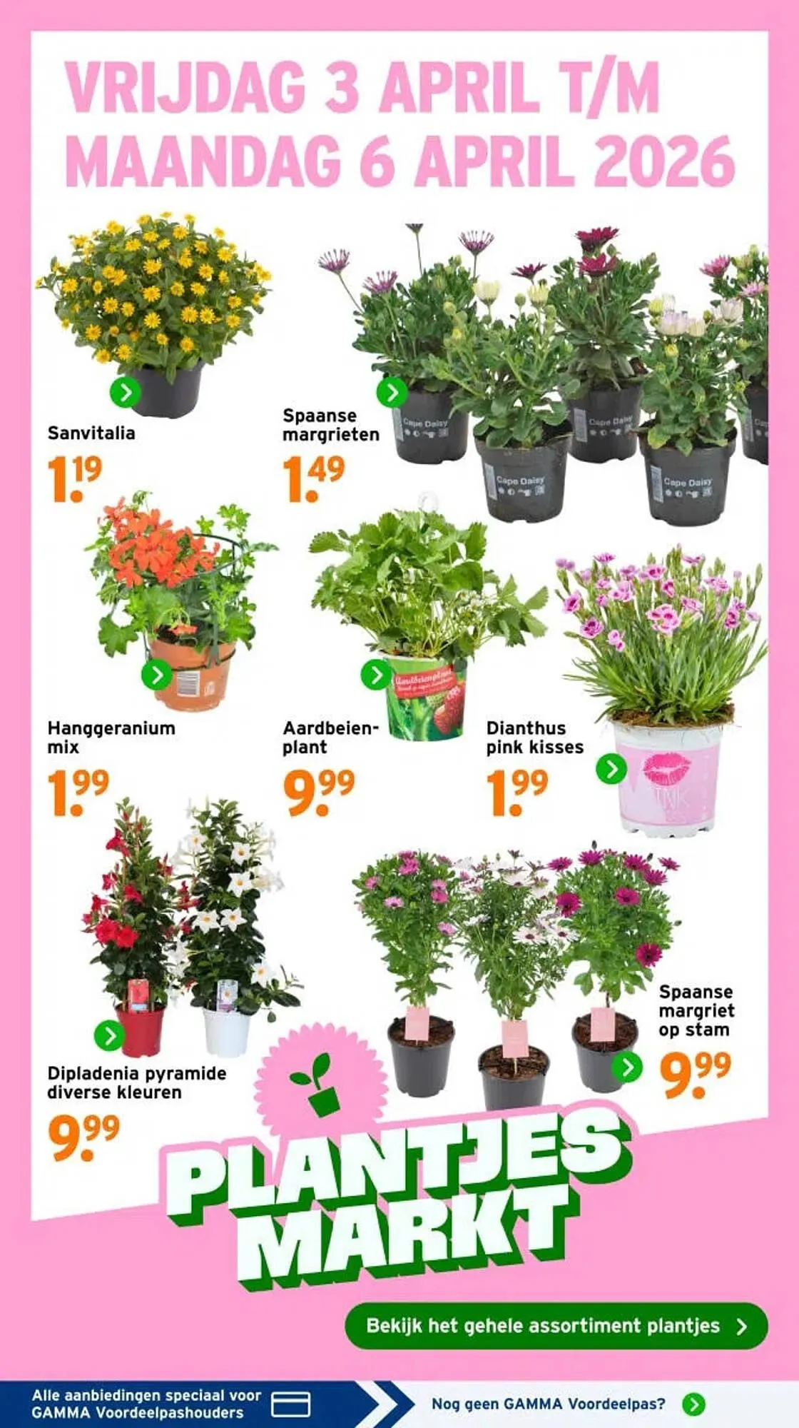 GAMMA folder van 30 maart tot 5 april 2026 - Folder pagina 2