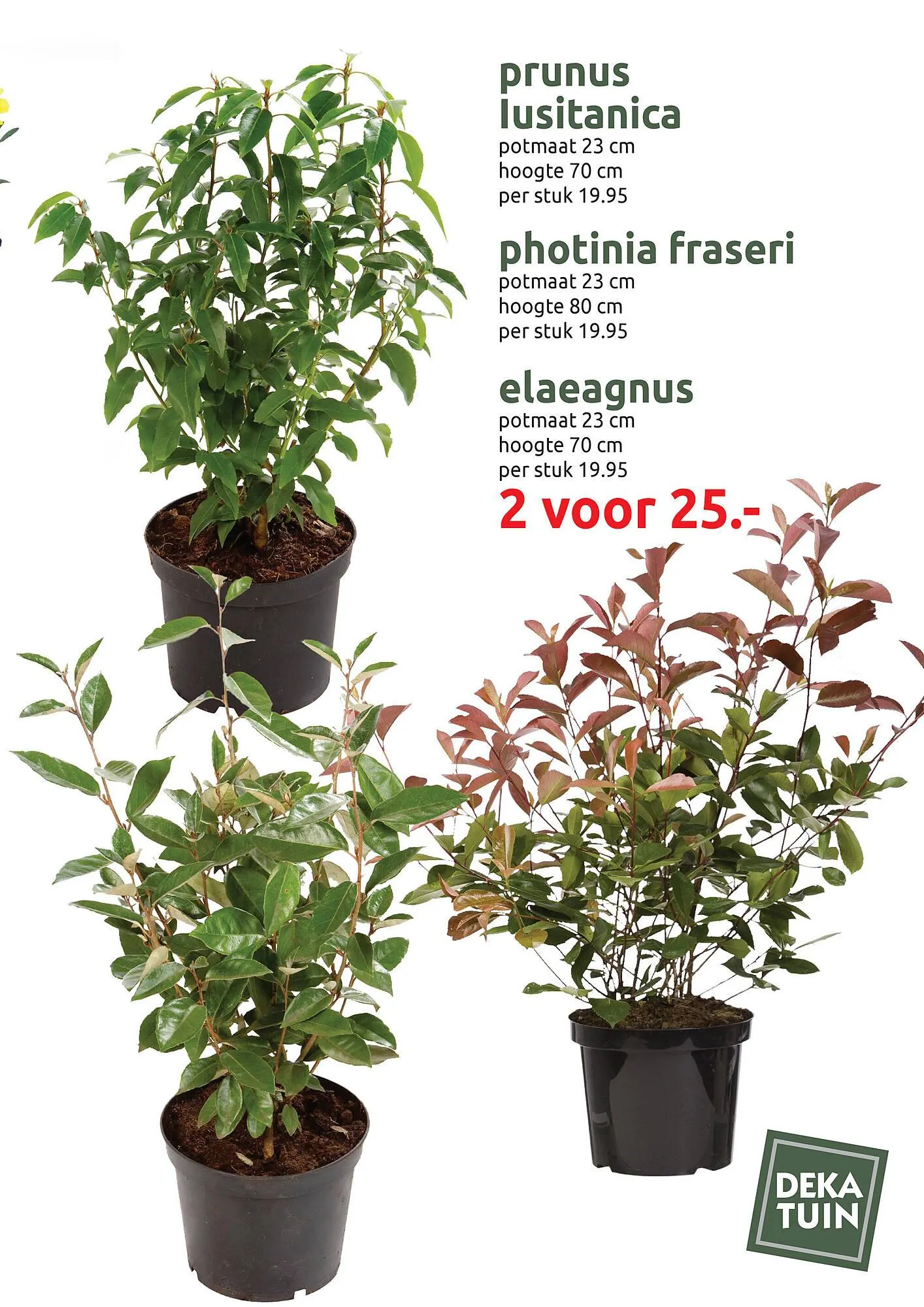 Deka Tuin folder van 31 maart tot 12 april 2025 - Folder pagina 7