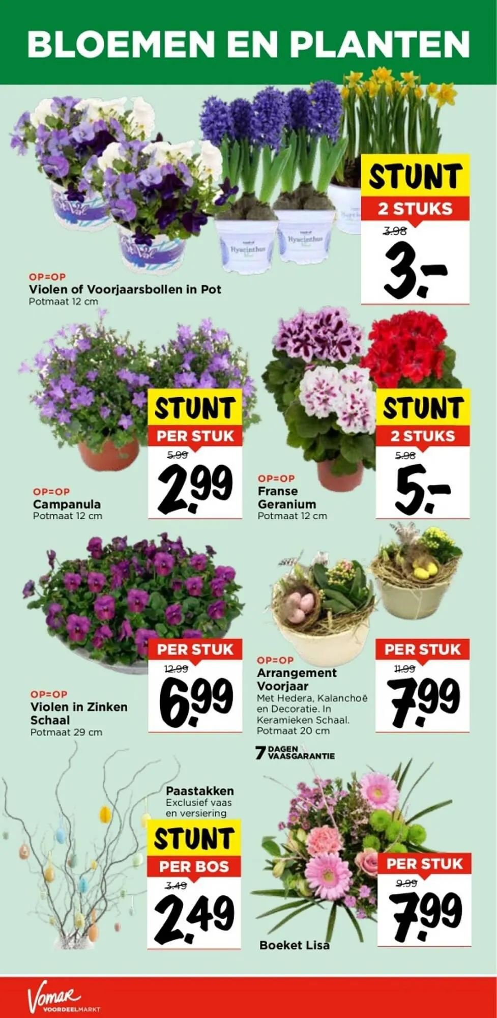 Vomar Voordeelmarkt folder van 11 maart tot 16 maart 2024 - Folder pagina 31