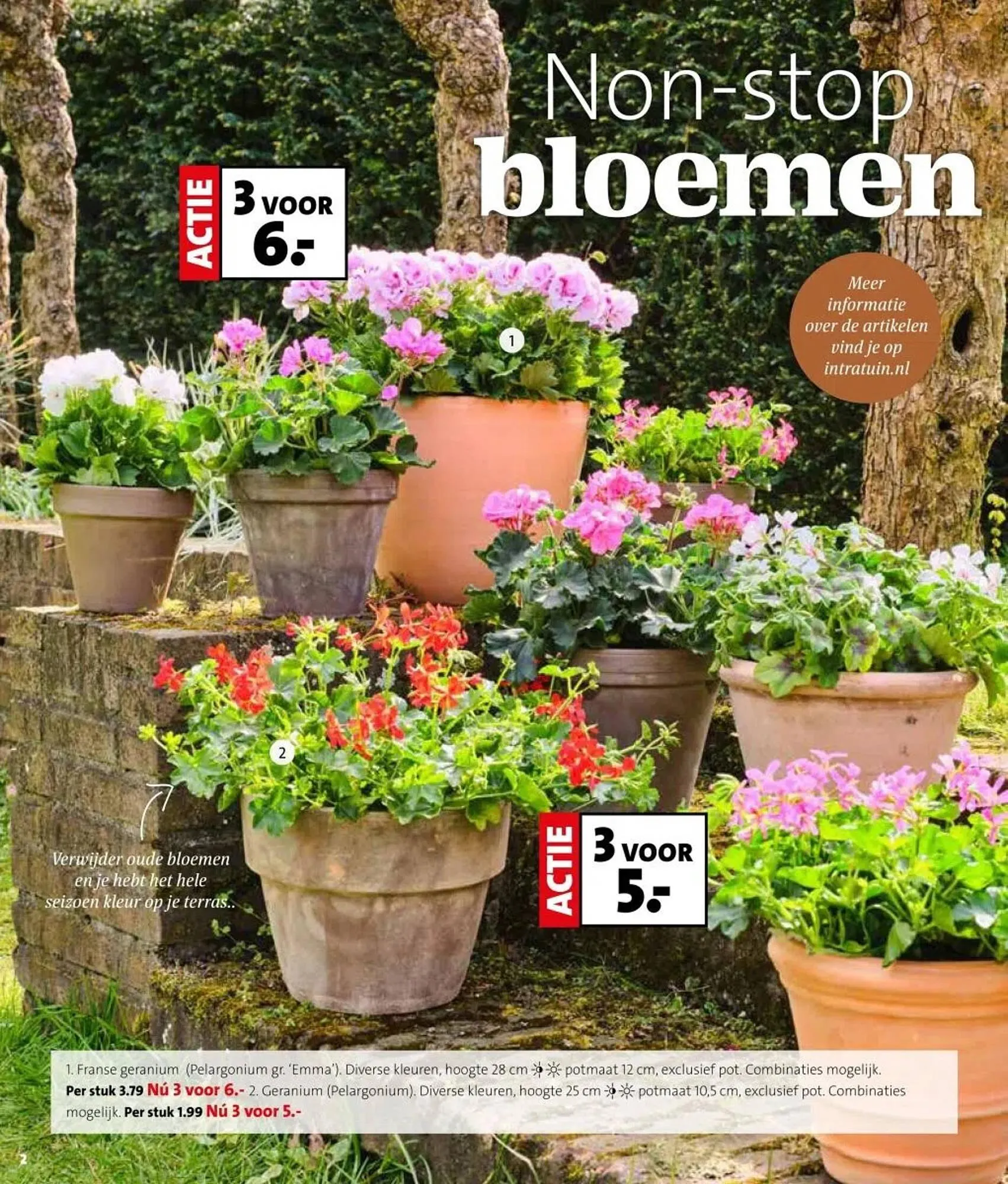 Intratuin folder van 31 maart tot 6 april 2025 - Folder pagina 2