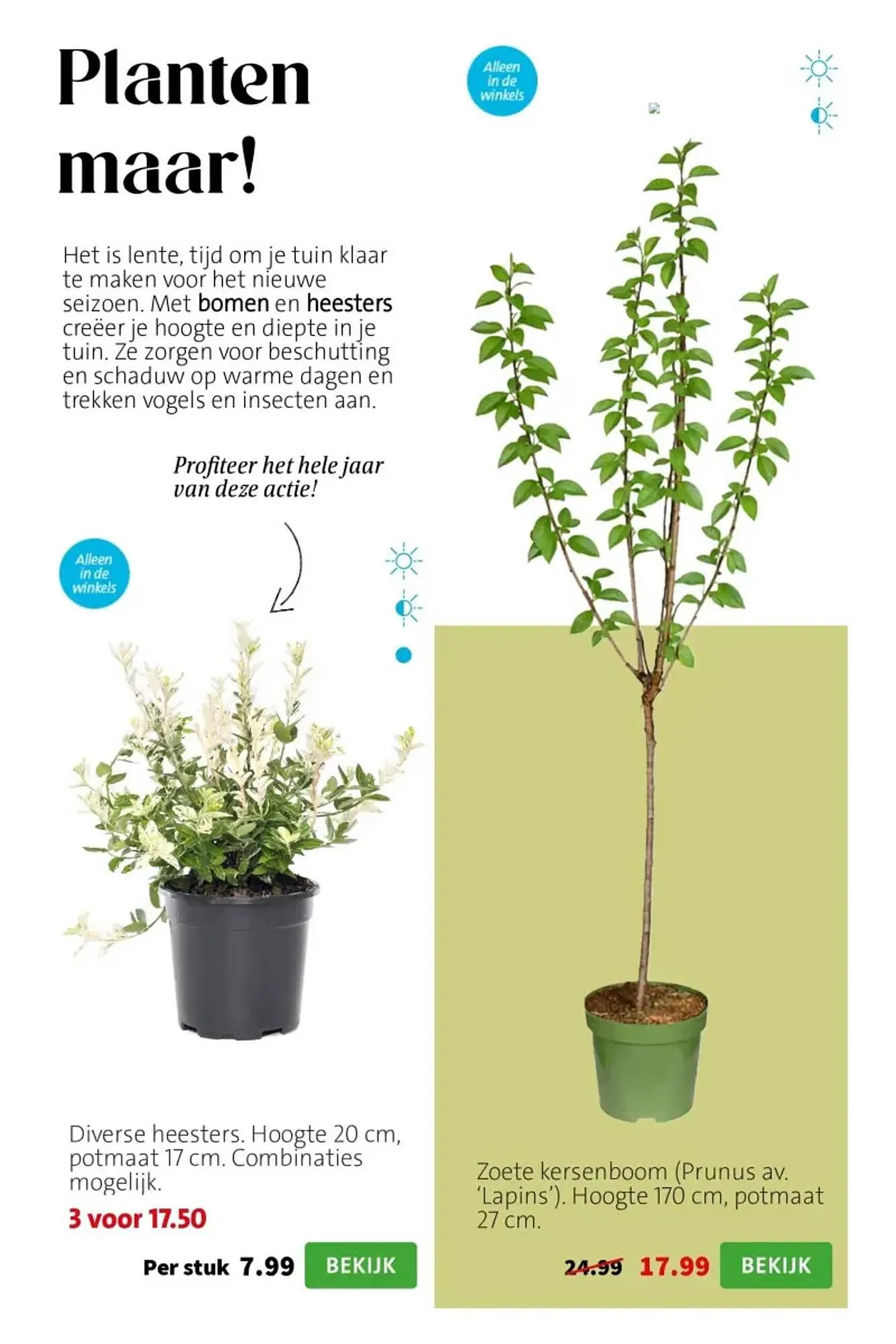 Intratuin folder van 23 maart tot 29 maart 2026 - Folder pagina 6