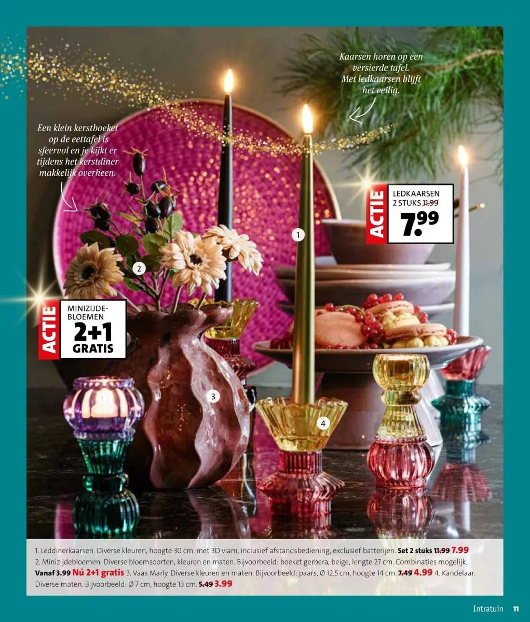 Intratuin folder van 27 oktober tot 2 november 2025 - Folder pagina 11
