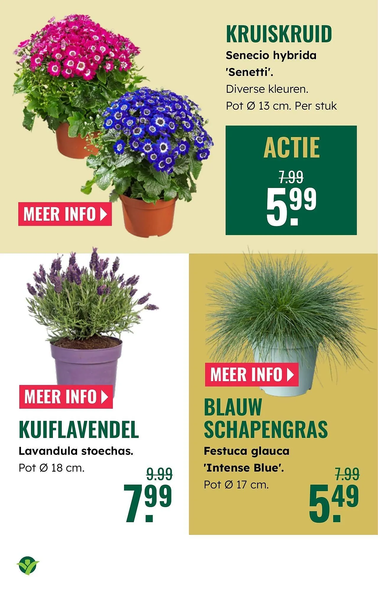 GroenRijk folder van 19 maart tot 25 maart 2026 - Folder pagina 5