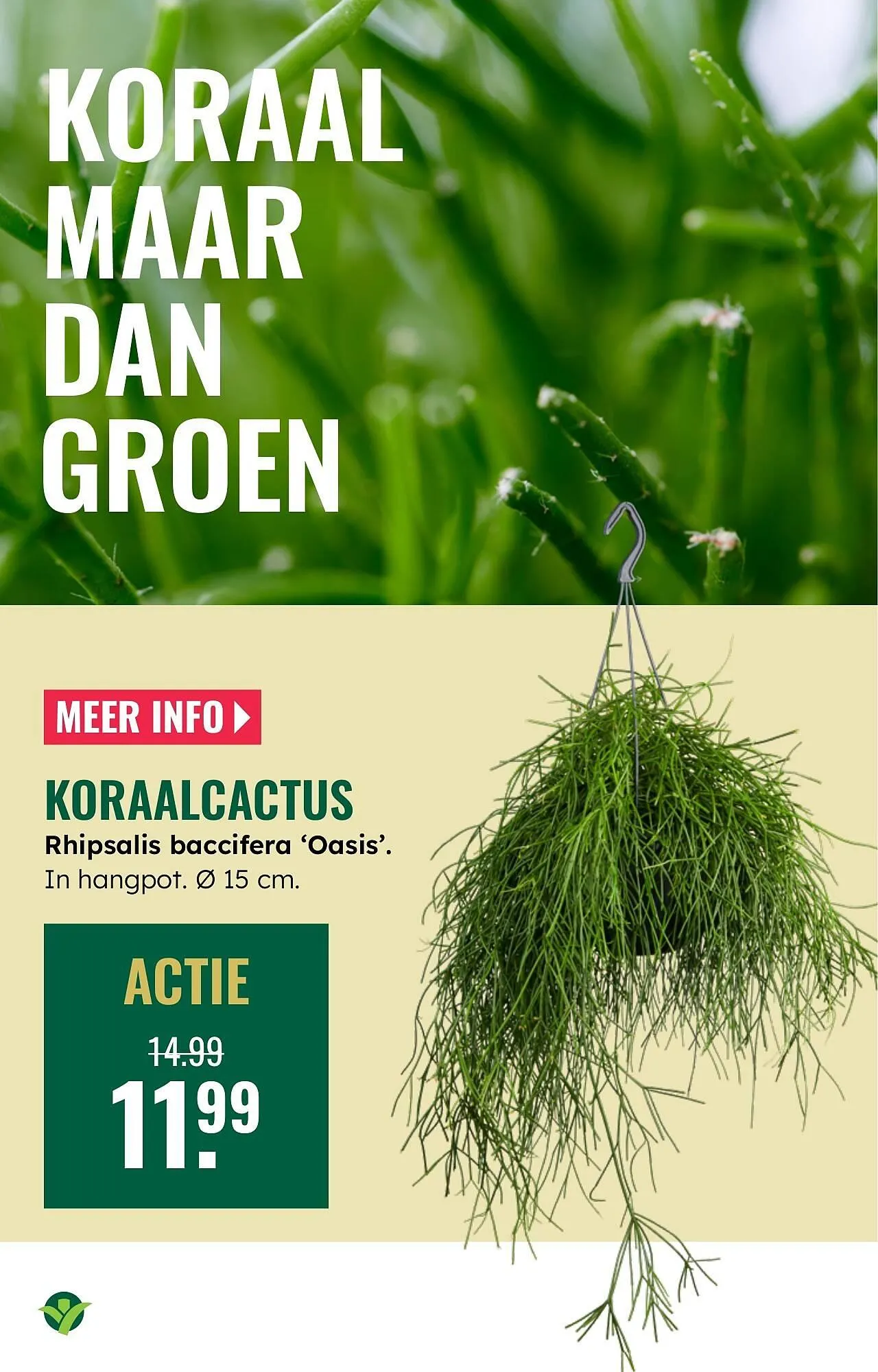 GroenRijk folder van 12 februari tot 18 februari 2026 - Folder pagina 9