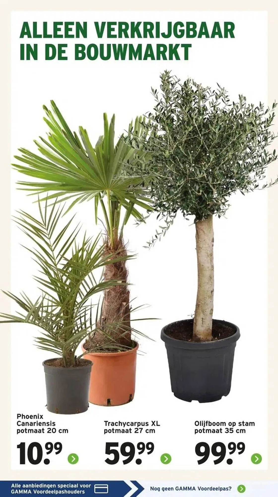 GAMMA folder van 28 maart tot 30 maart 2025 - Folder pagina 16