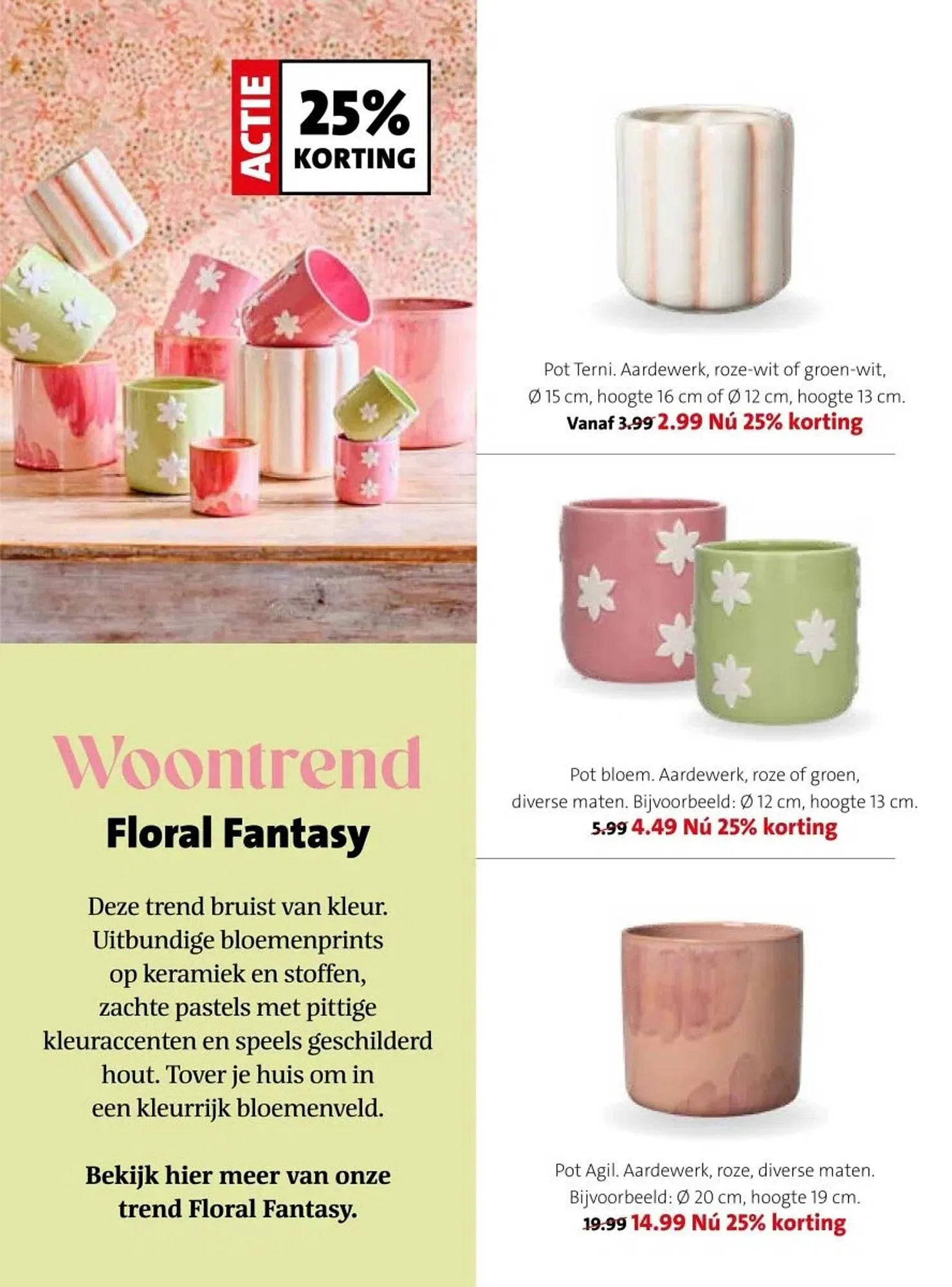 Intratuin folder van 16 februari tot 22 februari 2026 - Folder pagina 14