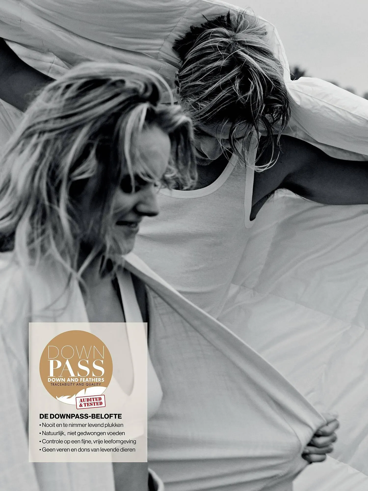 Van Dyck shop folder van 1 februari tot 31 december 2023 - Folder pagina 13