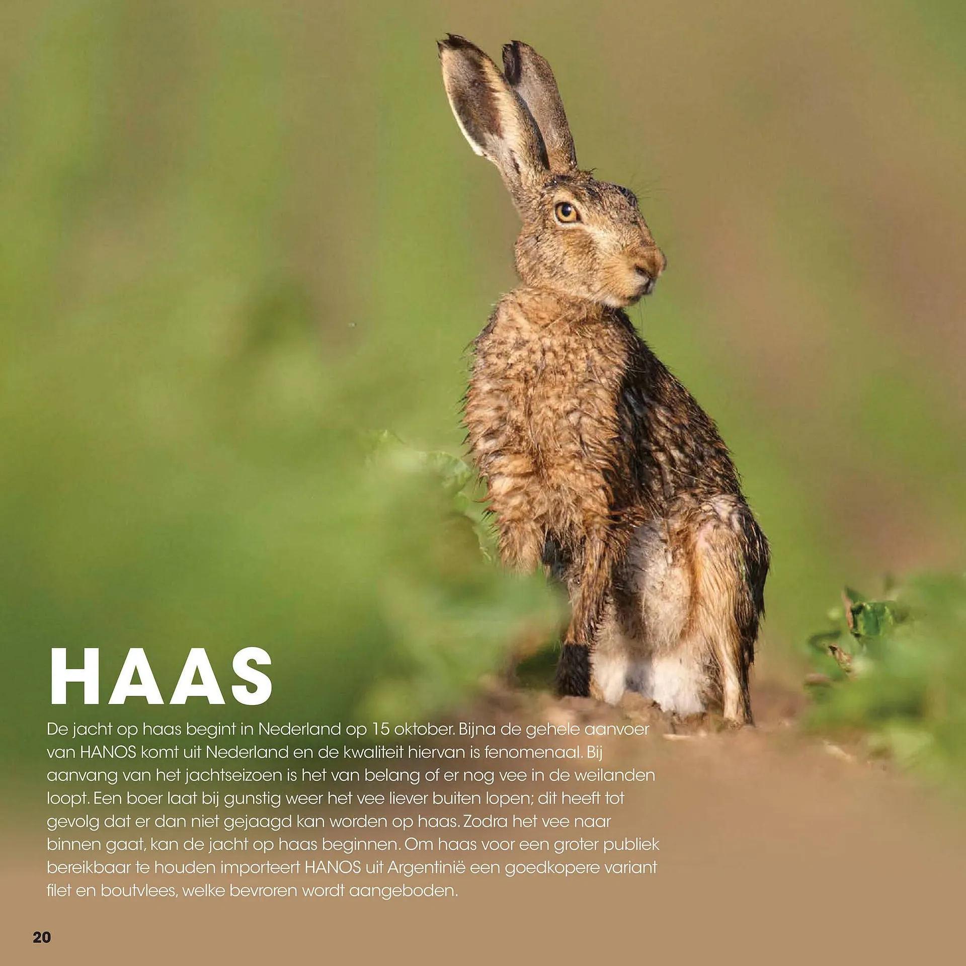 HANOS folder van 12 september tot 31 december 2025 - Folder pagina 20