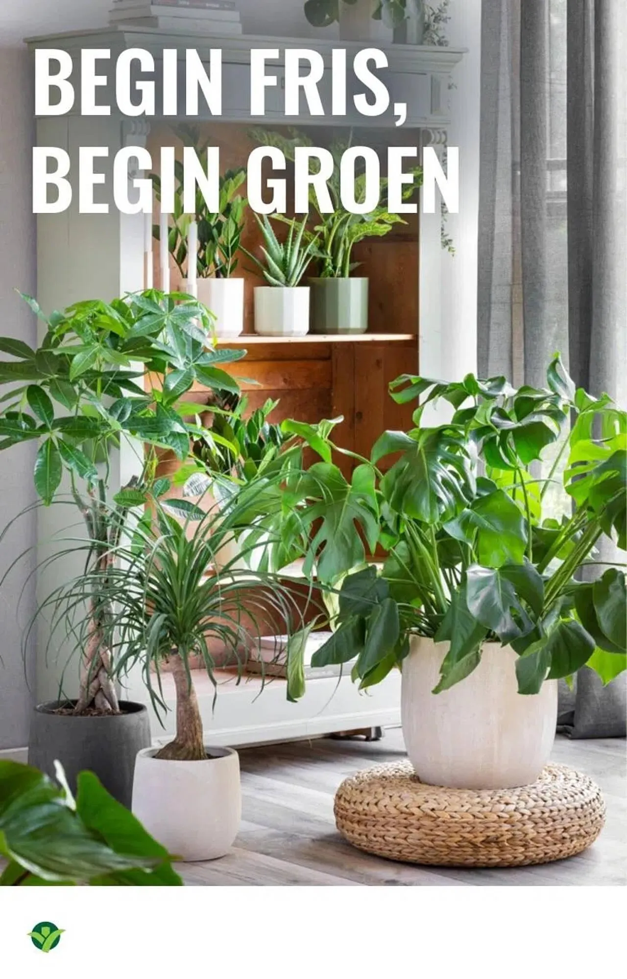 GroenRijk folder van 30 december tot 7 januari 2026 - Folder pagina 4