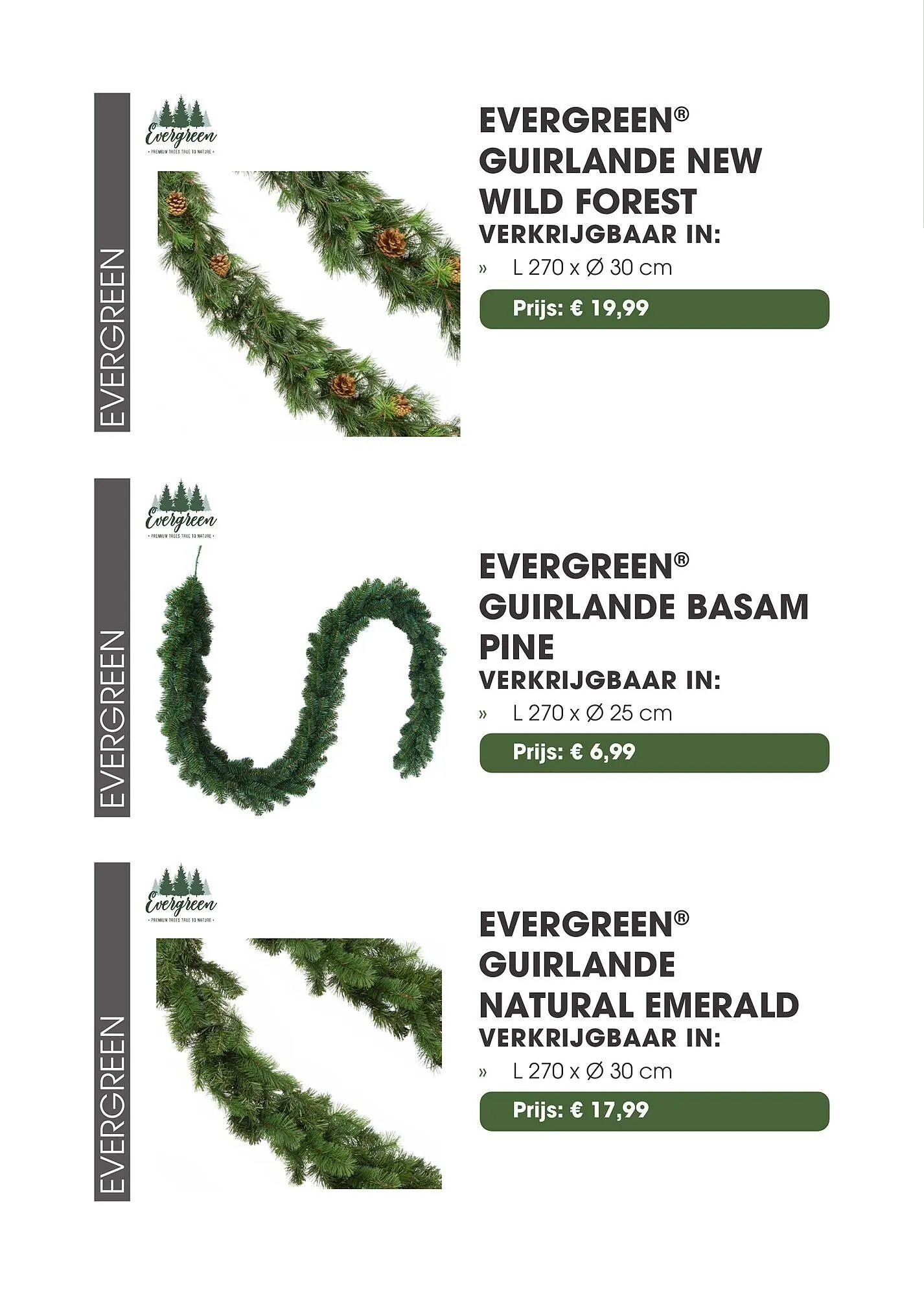 Coppelmans kerstbomencatalogus van 12 november tot 24 december 2025 - Folder pagina 43