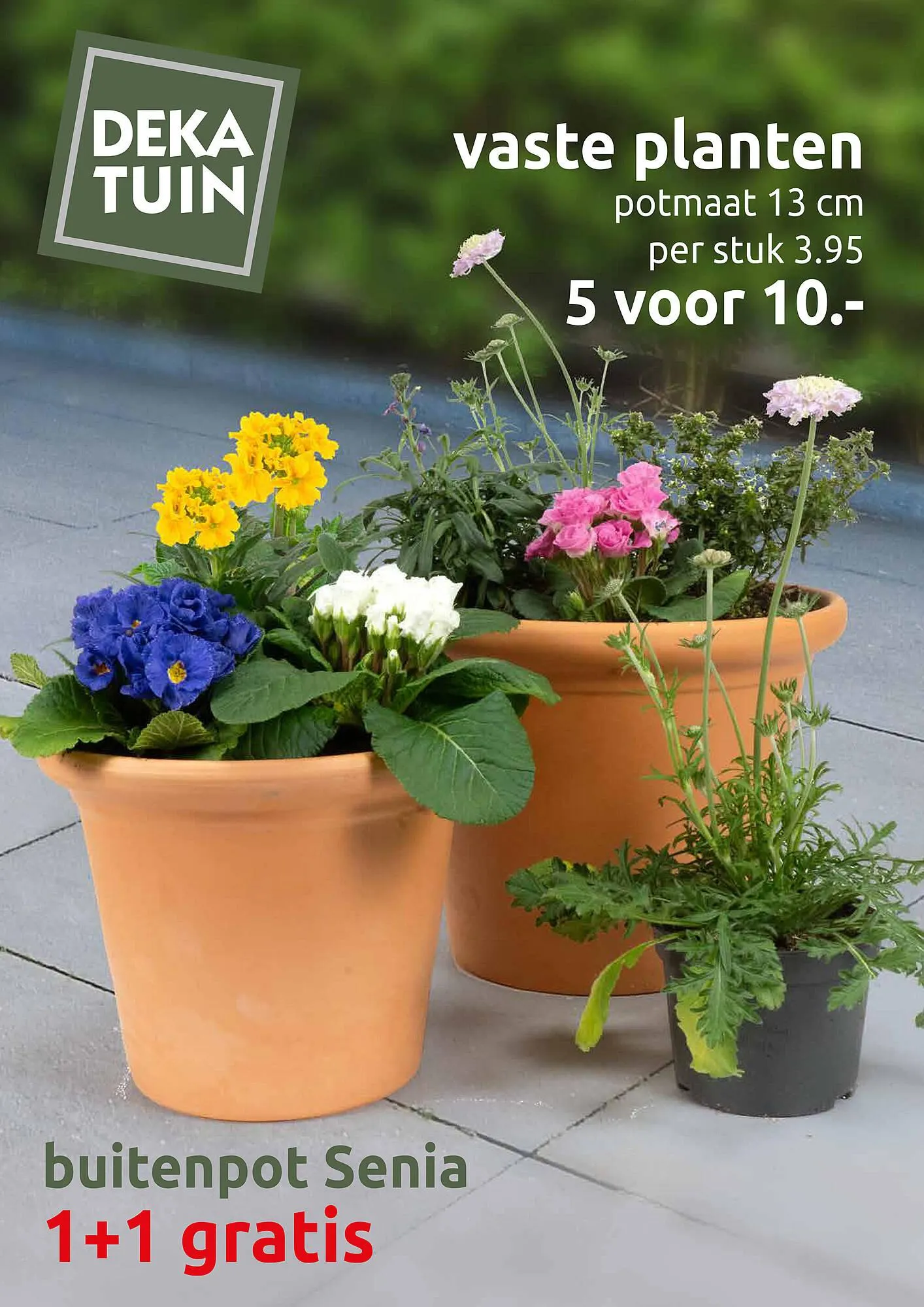 Deka Tuin folder - 1