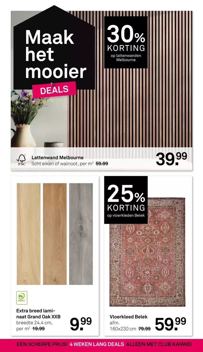 Karwei folder van 27 januari tot 10 februari 2025 - Folder pagina 20