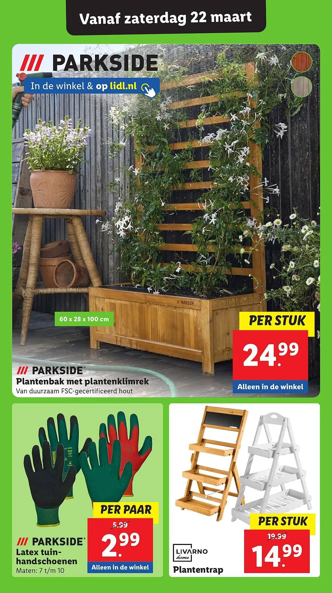 Lidl folder van 17 maart tot 23 maart 2025 - Folder pagina 13