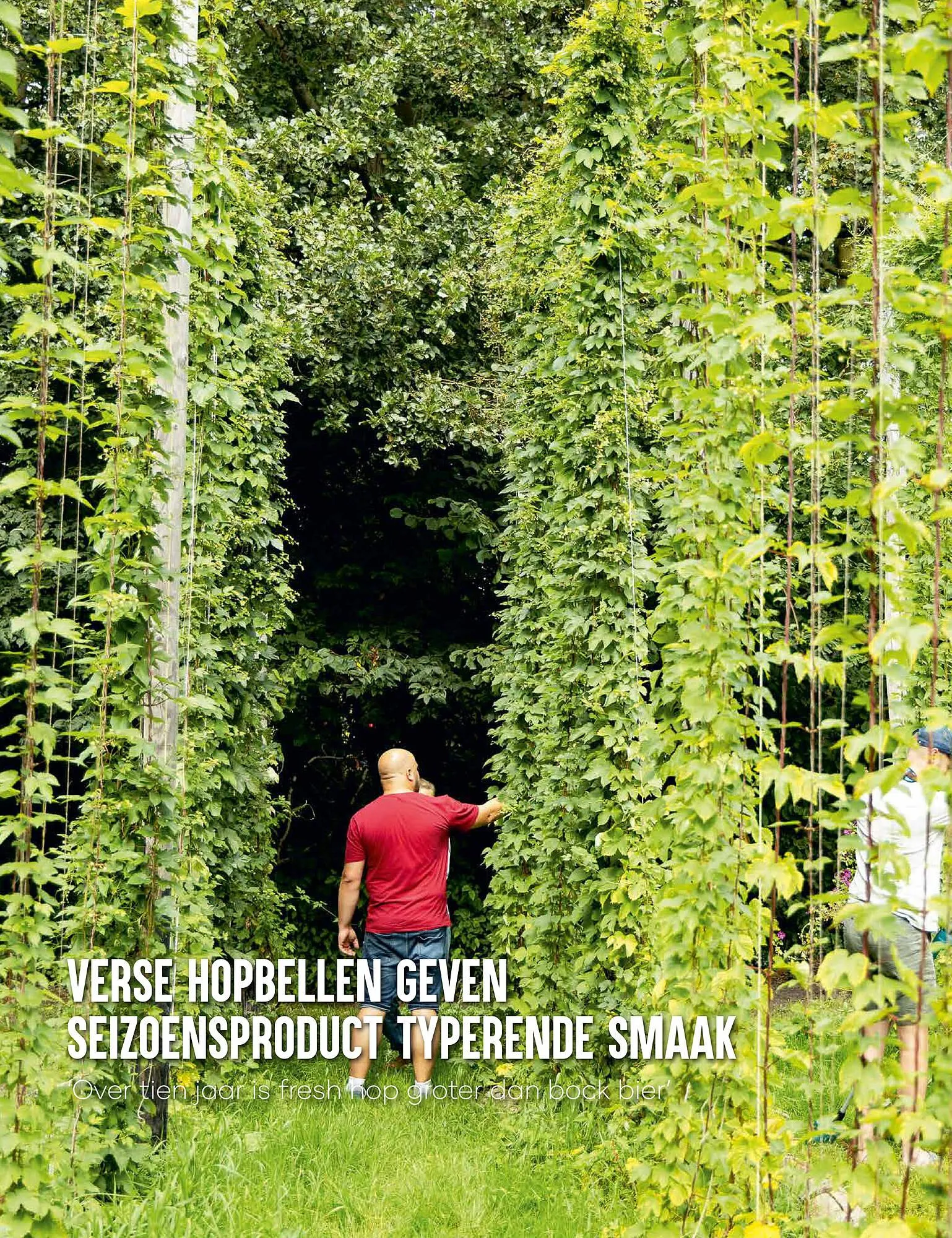 Mitra magazine van 1 december tot 28 februari 2026 - Folder pagina 40