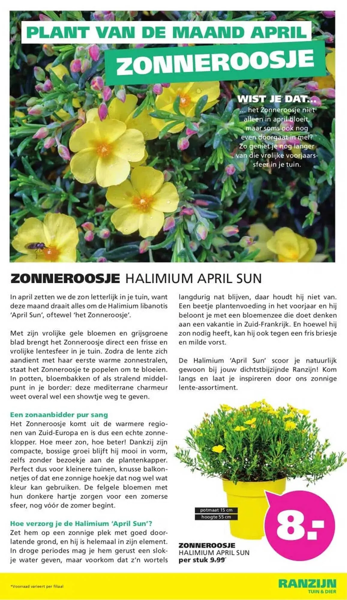 Ranzijn folder van 29 maart tot 11 april 2026 - Folder pagina 14
