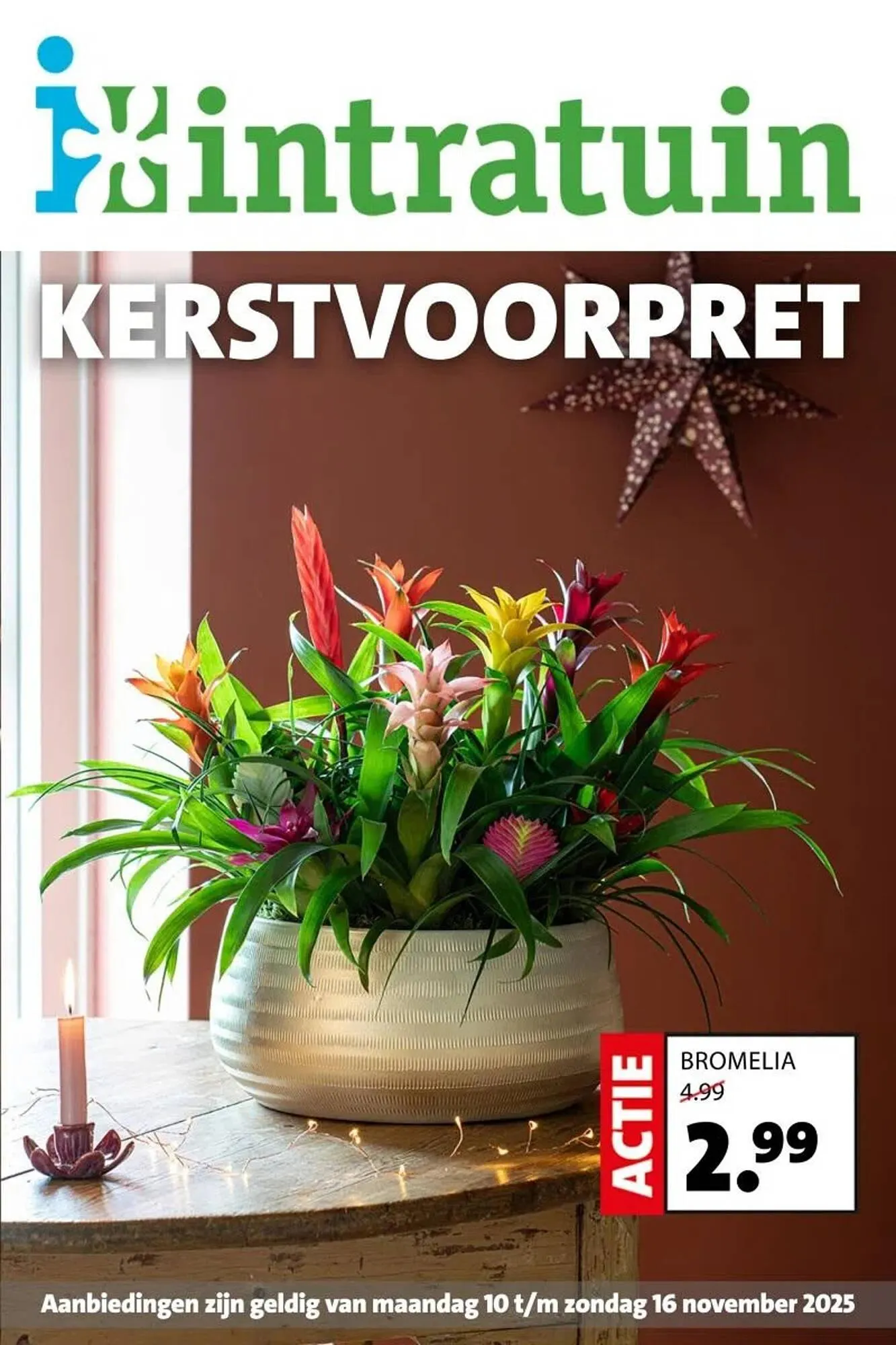 Intratuin folder van 10 november tot 16 november 2025 - Folder pagina 1