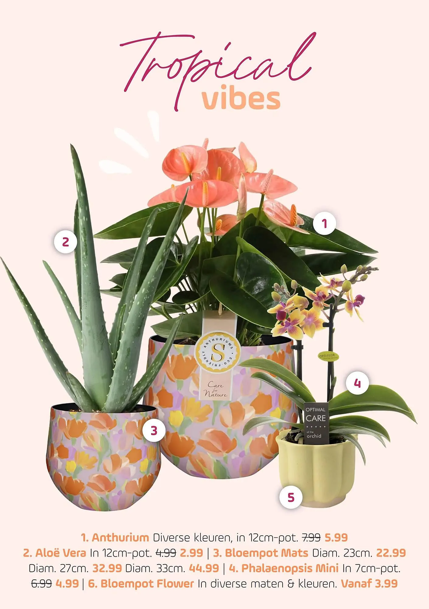 Coppelmans folder van 16 juni tot 22 juni 2025 - Folder pagina 6