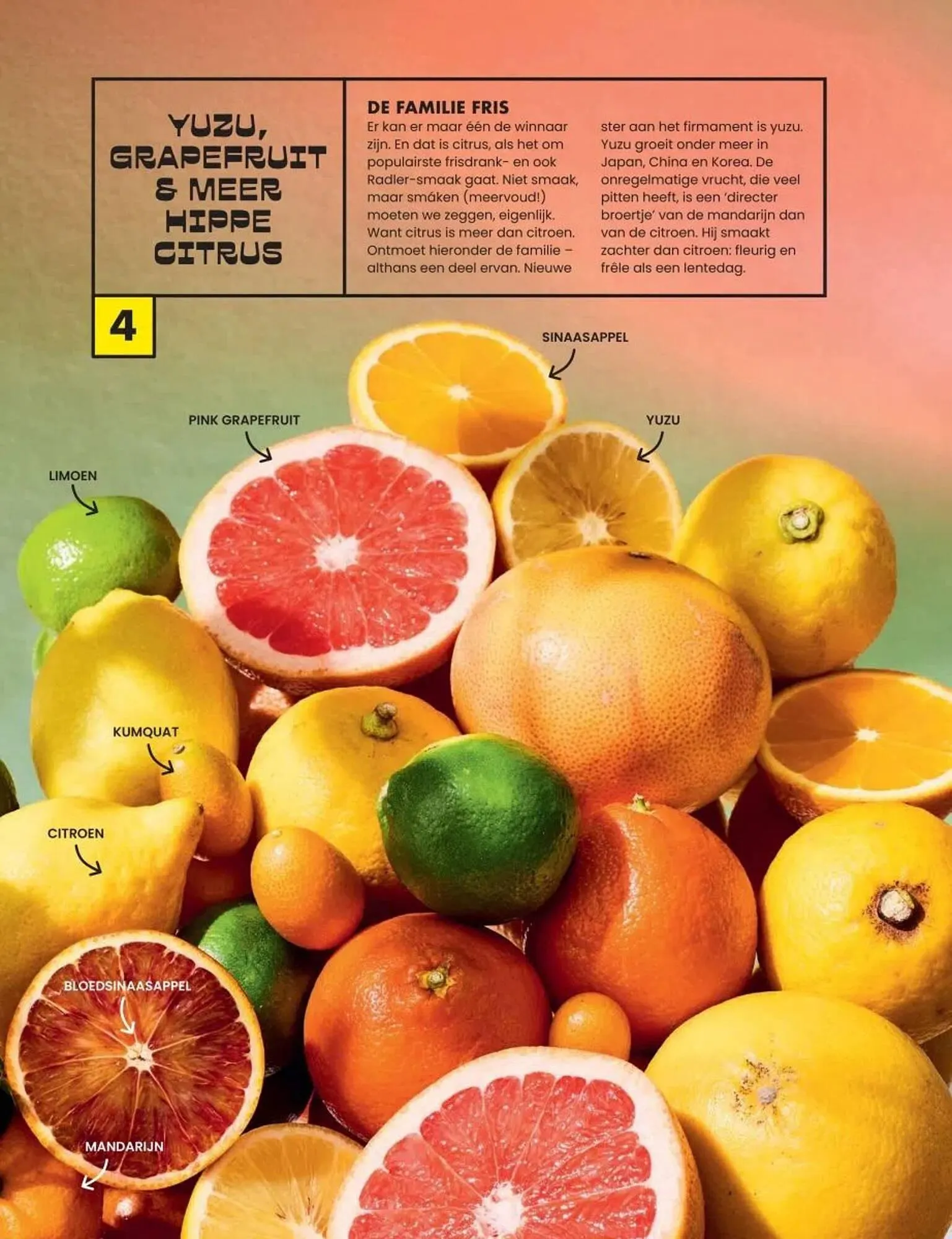 Albert Heijn folder van 28 april tot 25 mei 2025 - Folder pagina 10