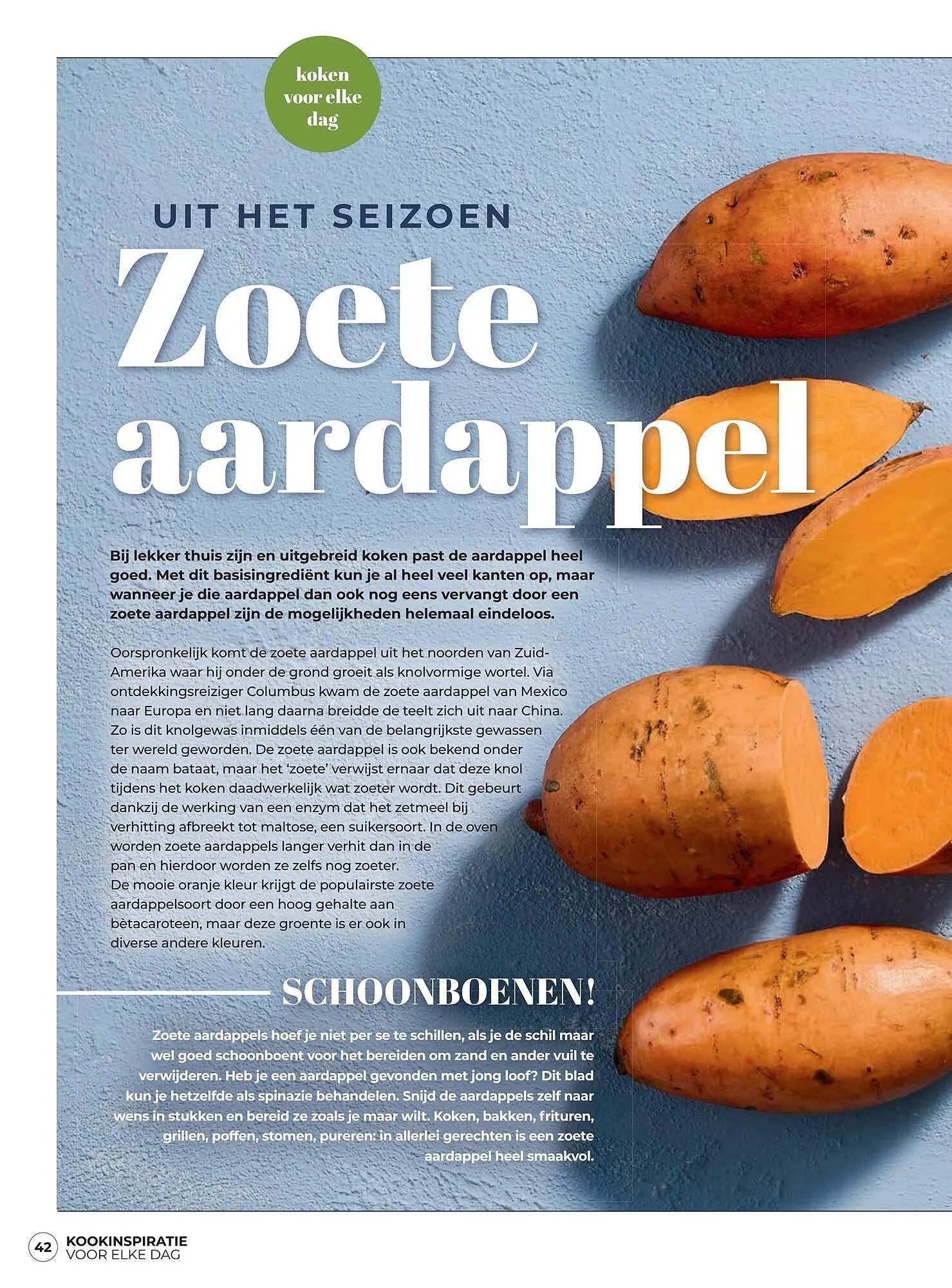 Boodschappen folder van 1 november tot 30 november 2023 - Folder pagina 42