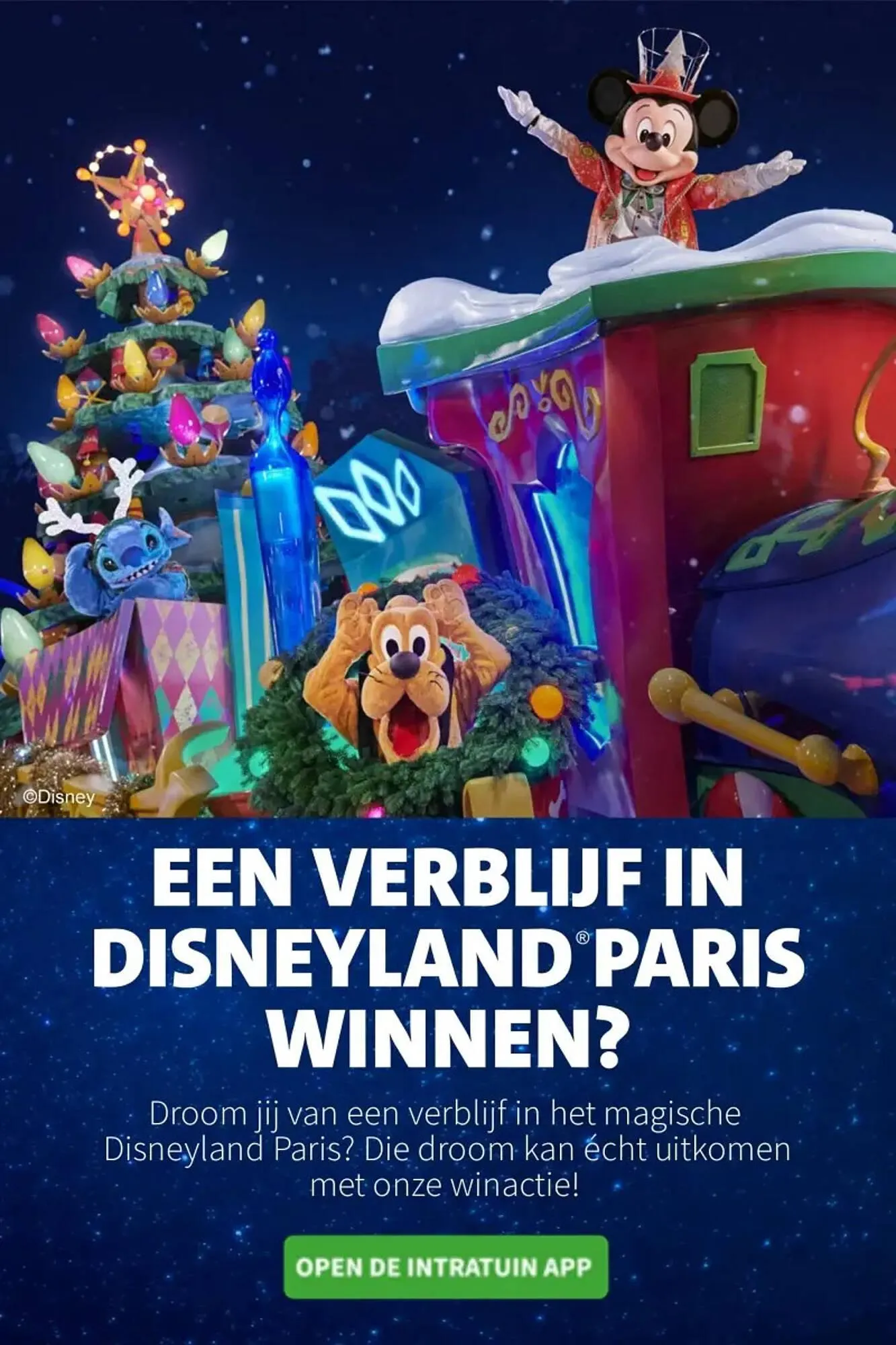 Intratuin folder van 3 november tot 9 november 2025 - Folder pagina 4