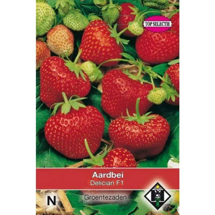 Aardbei - Delician F1