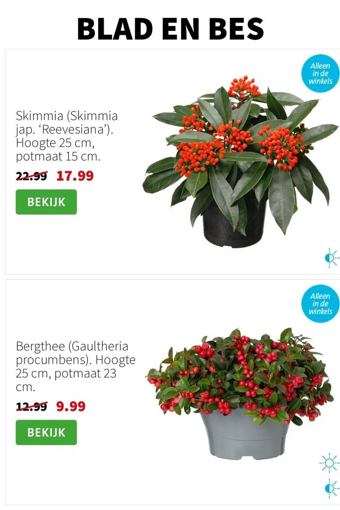 Intratuin folder van 10 november tot 16 november 2025 - Folder pagina 4