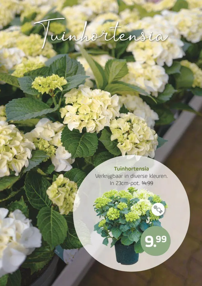 Buitenleven van 16 mei tot 30 mei 2024 - Folder pagina 12