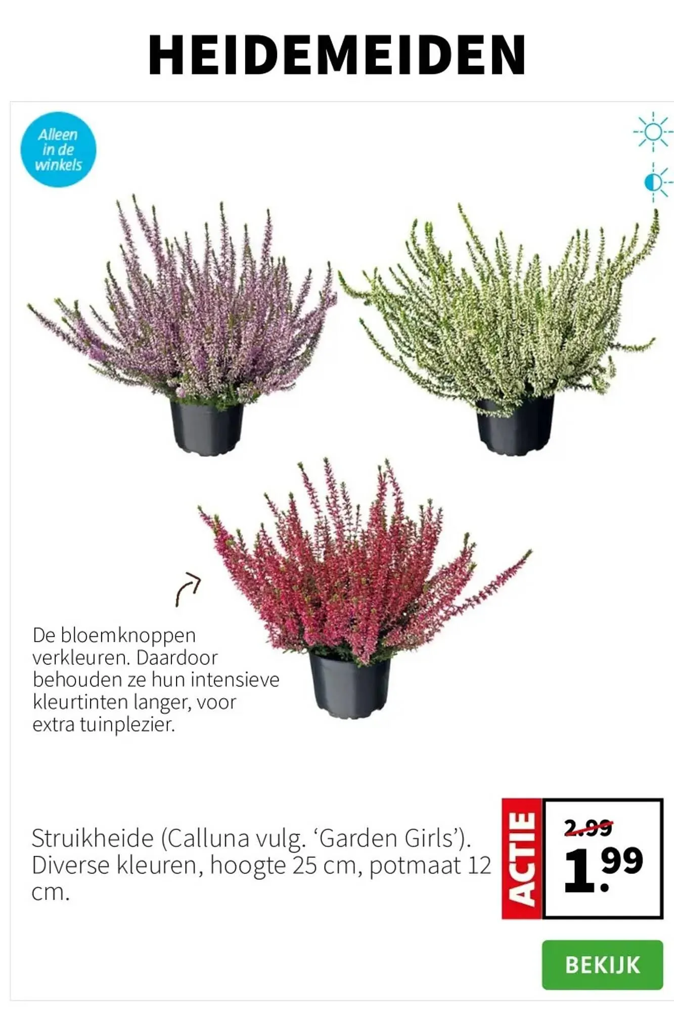 Intratuin folder van 1 september tot 7 september 2025 - Folder pagina 5
