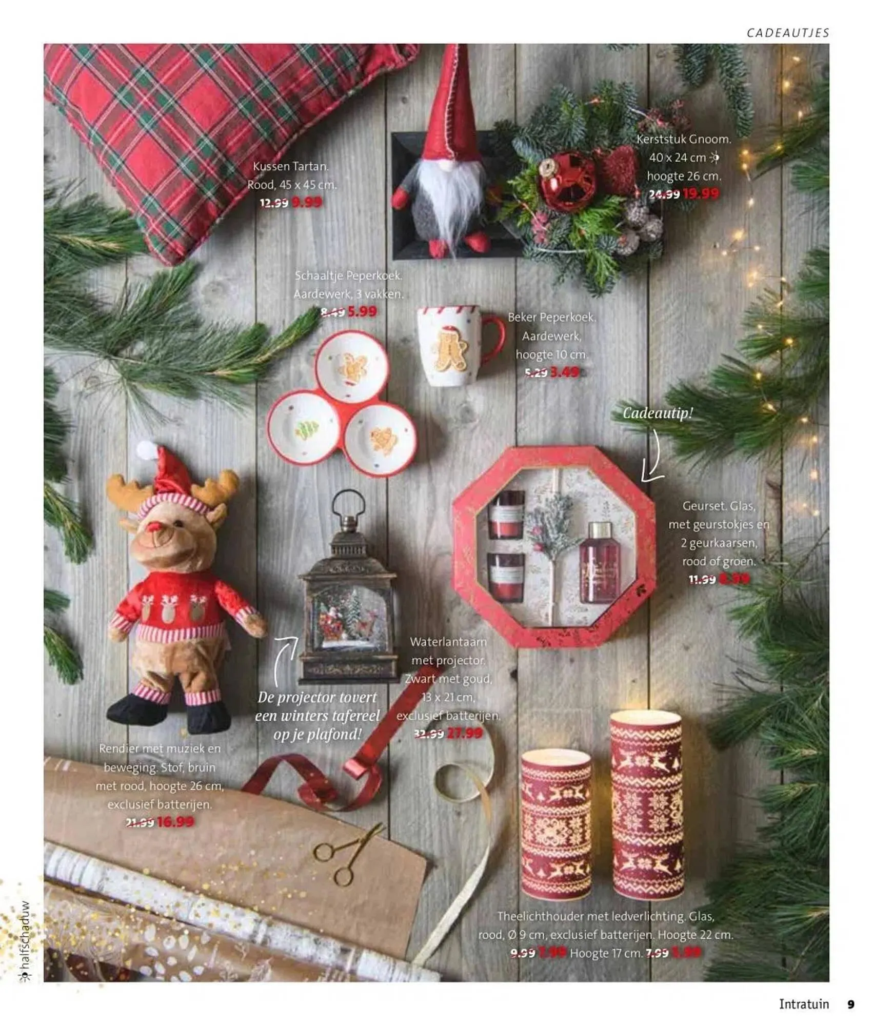 Intratuin folder van 27 november tot 3 december 2023 - Folder pagina 9