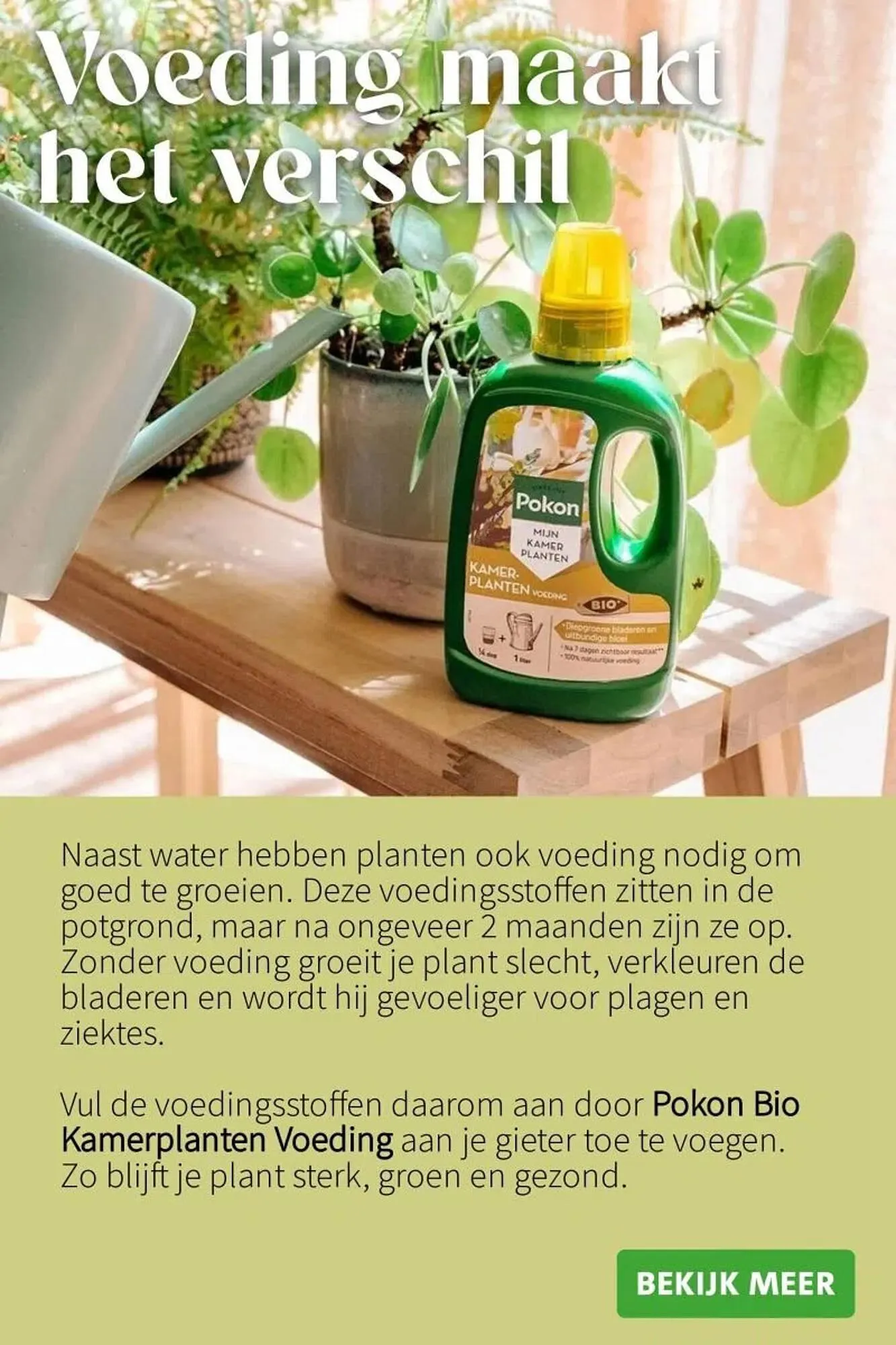 Intratuin folder van 5 januari tot 11 januari 2026 - Folder pagina 4