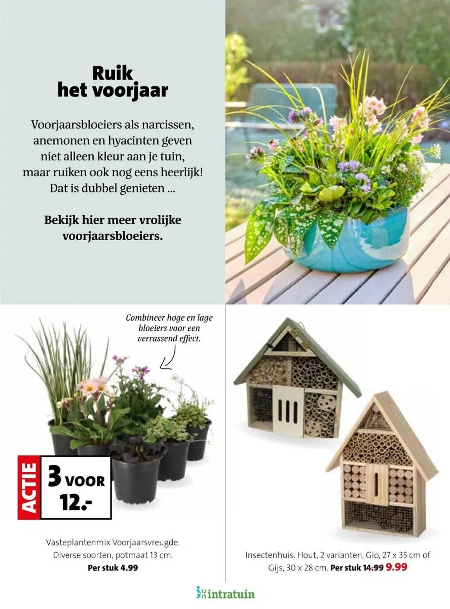 Intratuin folder van 16 februari tot 22 februari 2026 - Folder pagina 16