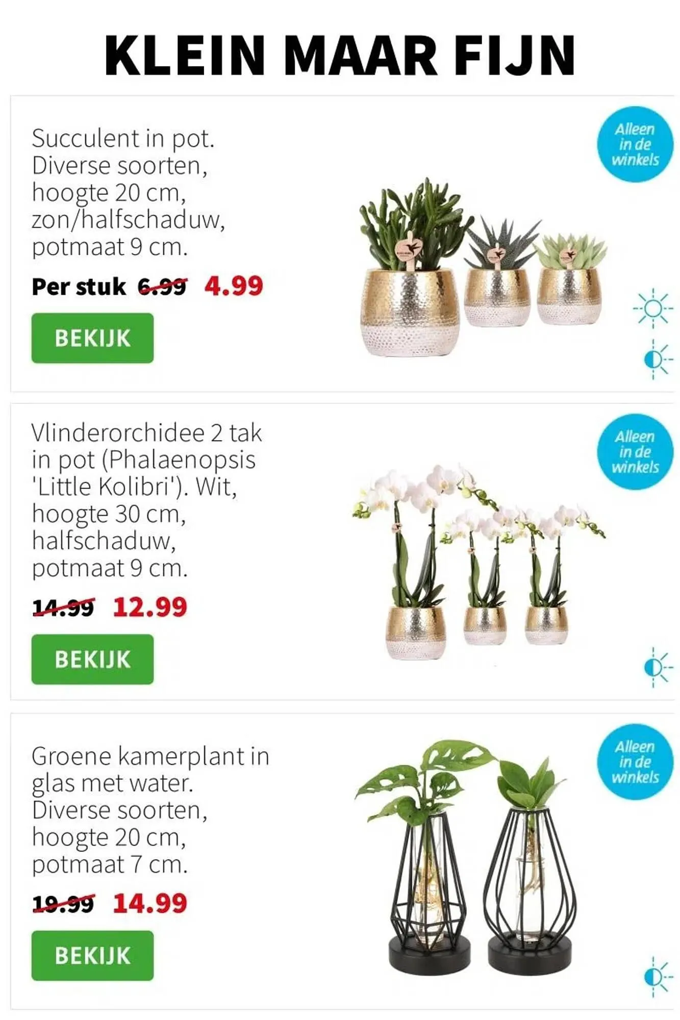 Intratuin folder van 22 december tot 28 december 2025 - Folder pagina 4